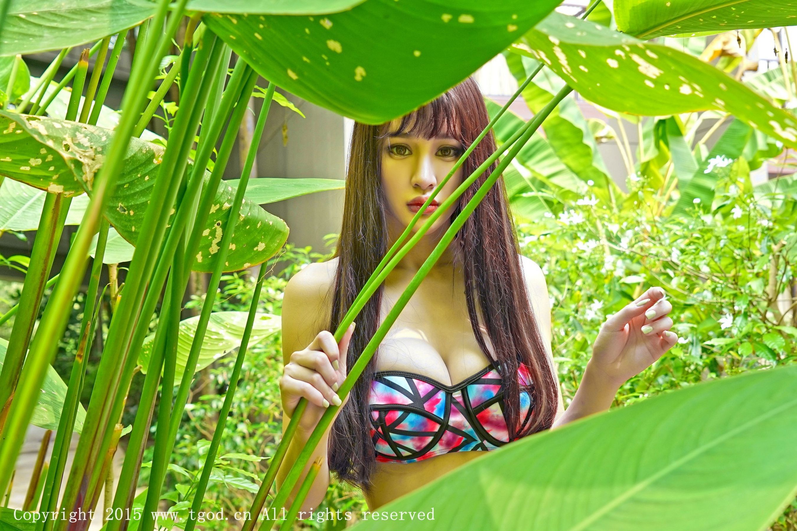 Cheryl青树《普吉岛旅拍》比基尼系列  写真集-图2