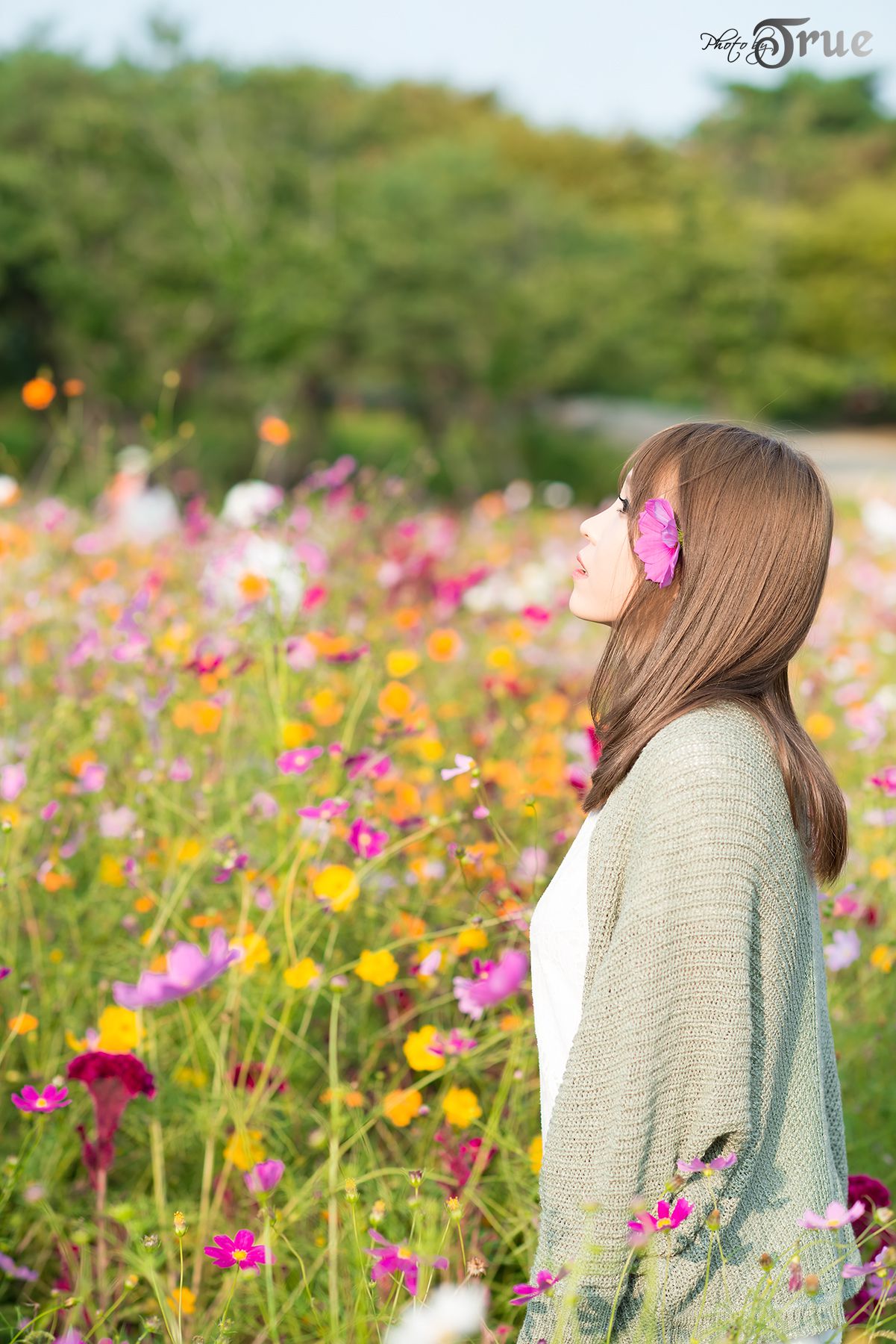 李仁慧《唯美小清新图片》合集版-图58