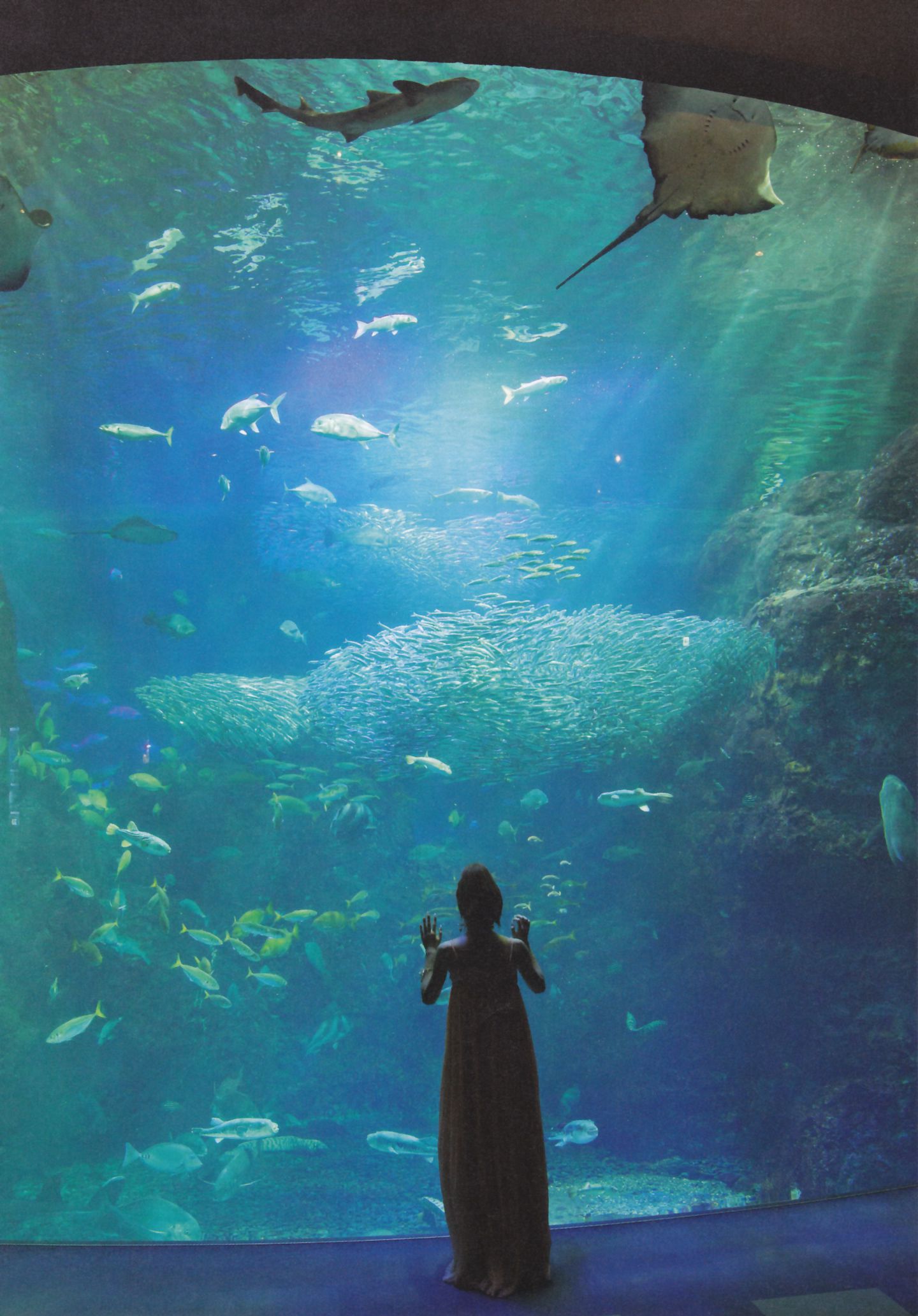 板野友美 AKB48卒業記念《Tomochin ともちん》-图25