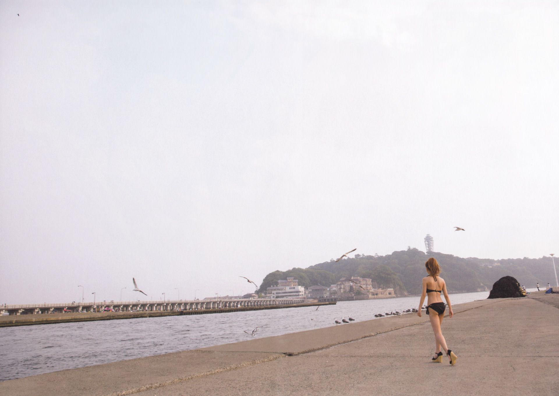 板野友美 AKB48卒業記念《Tomochin ともちん》-图5