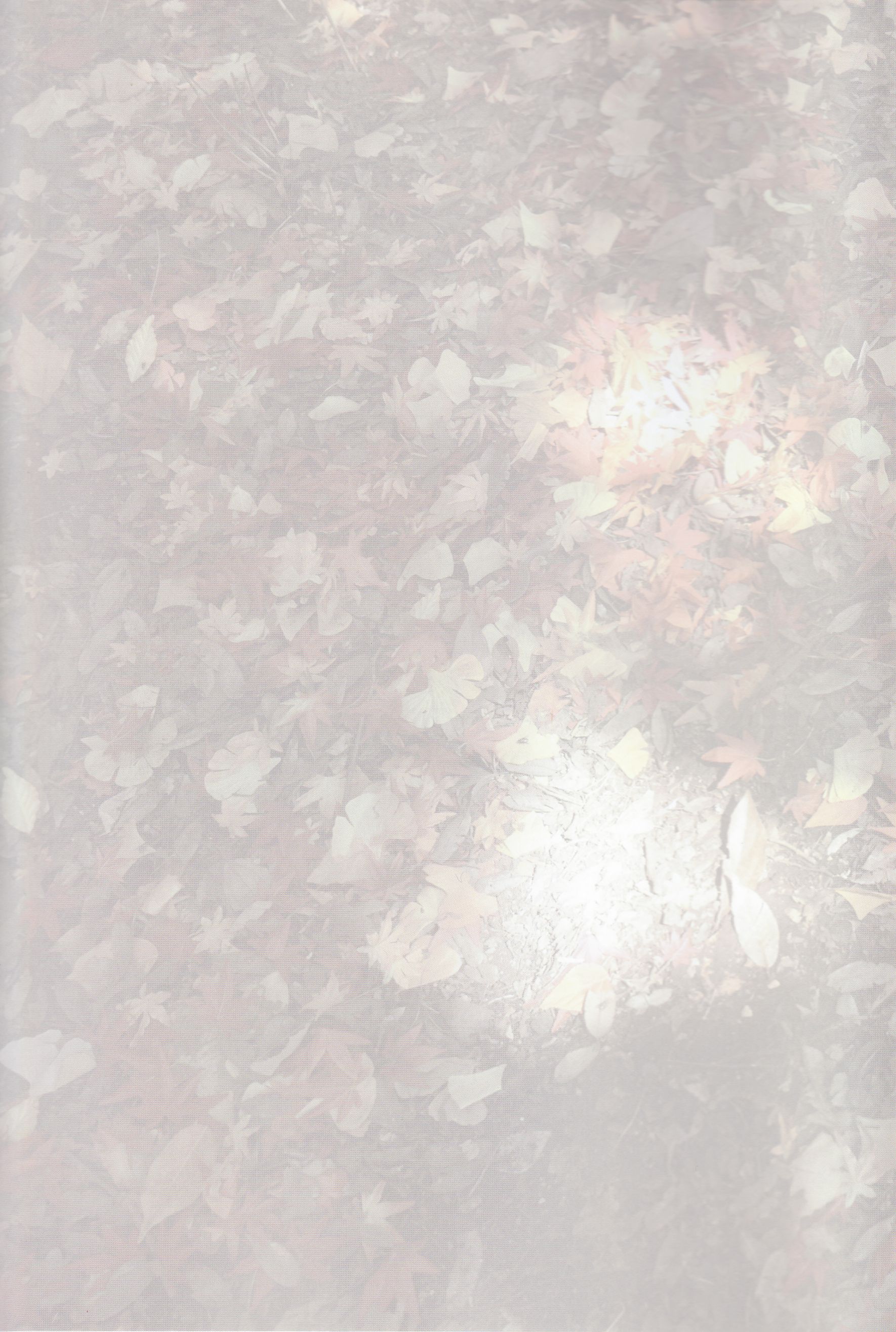 《季刊 乃木坂46 vol.3 涼秋》全本 写真书-图97