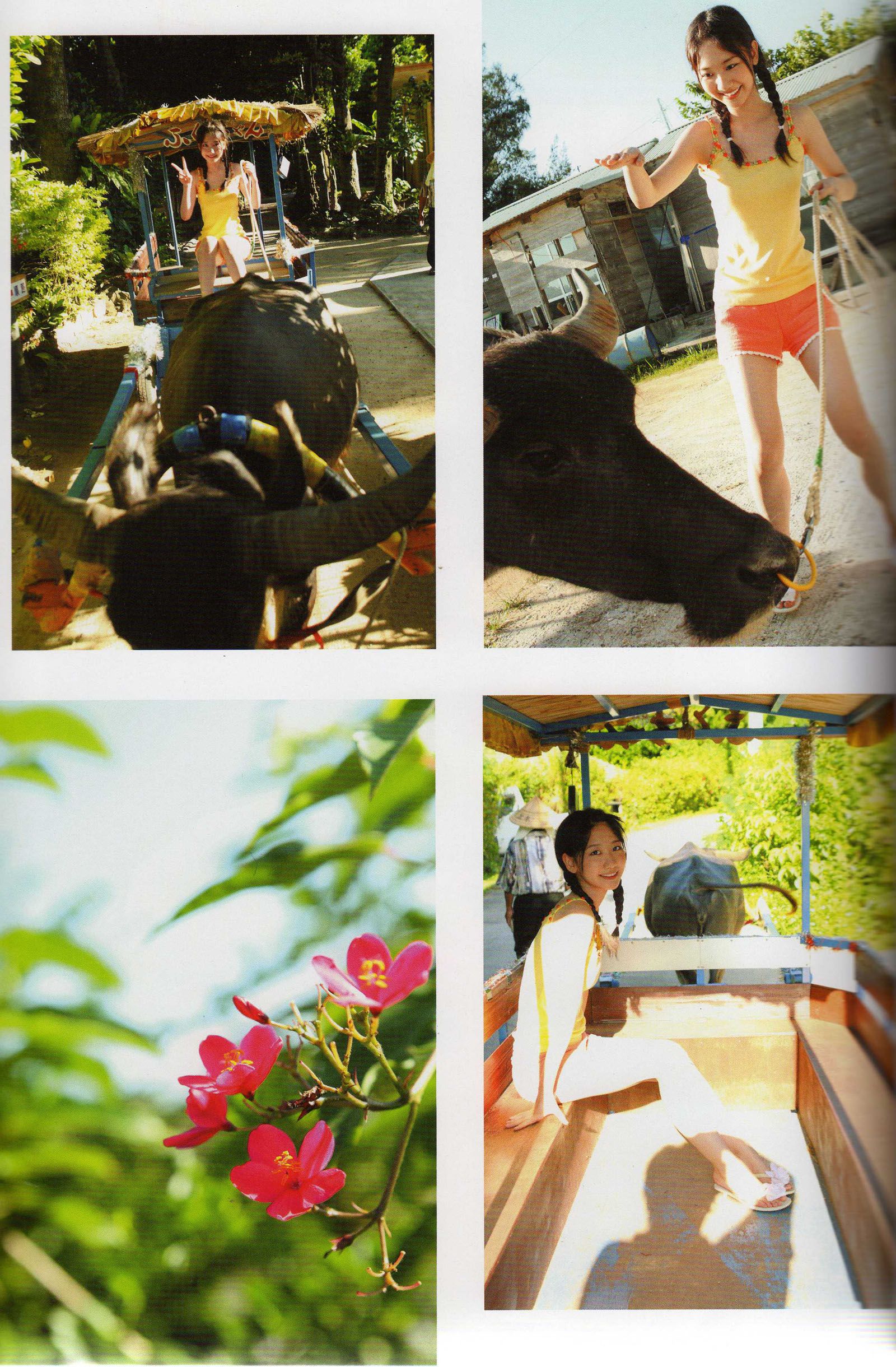 柏木由紀《以上、柏木由紀でしたっ》-图29