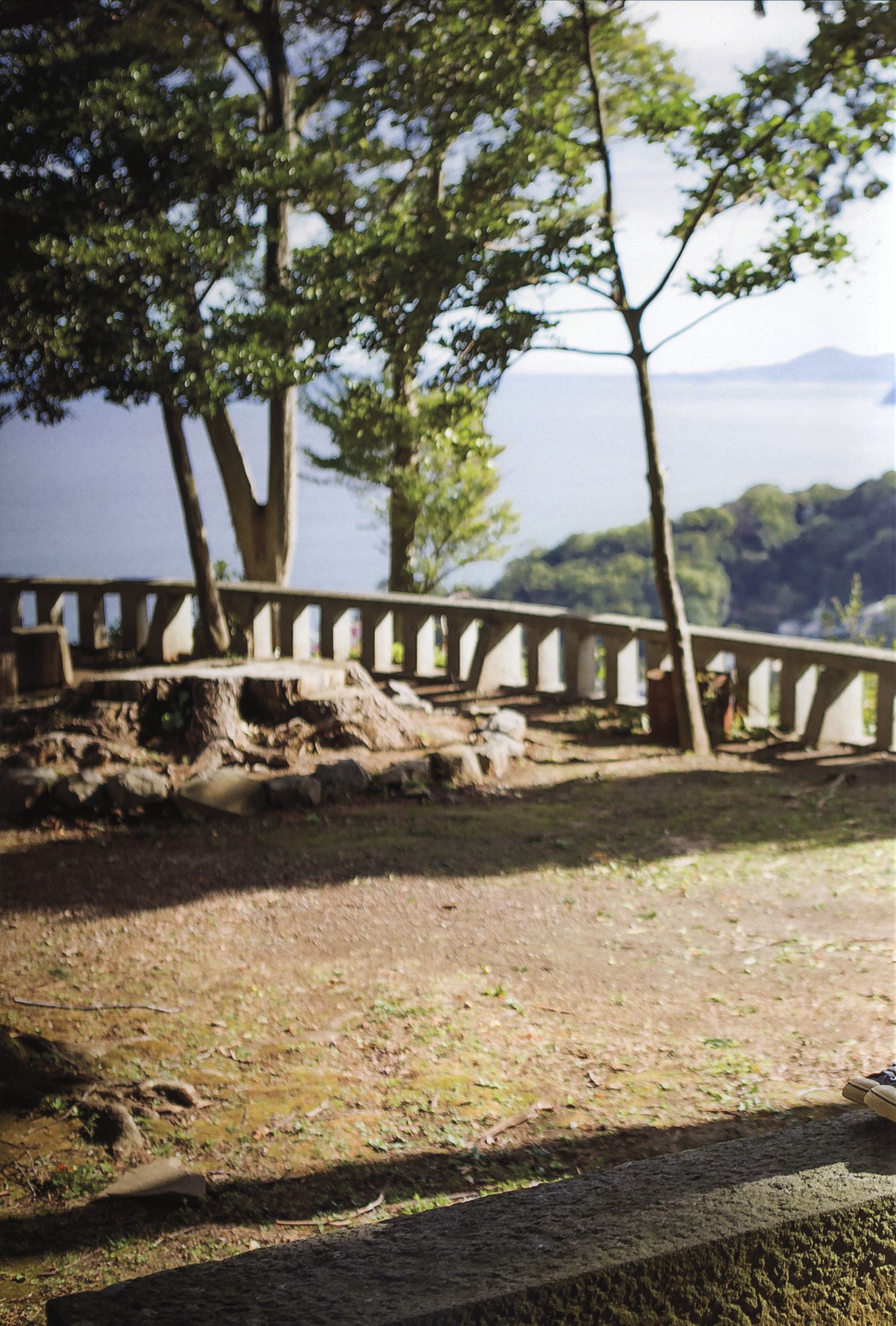 Nakajima Saki 中島早貴《N20》-图45