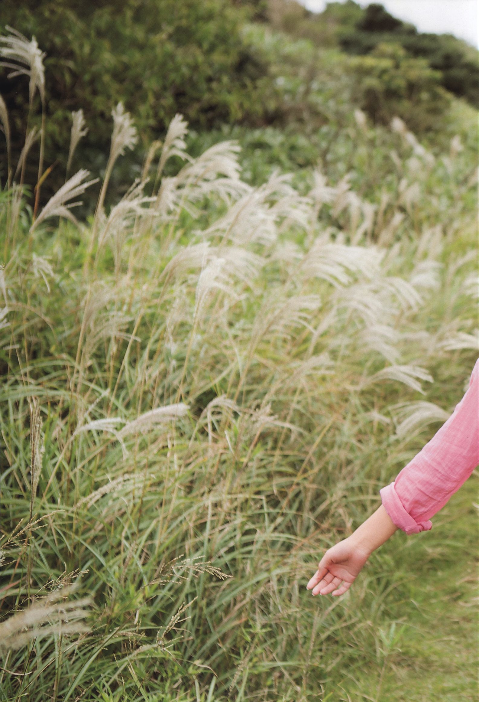 Nakajima Saki 中島早貴《N20》-图6