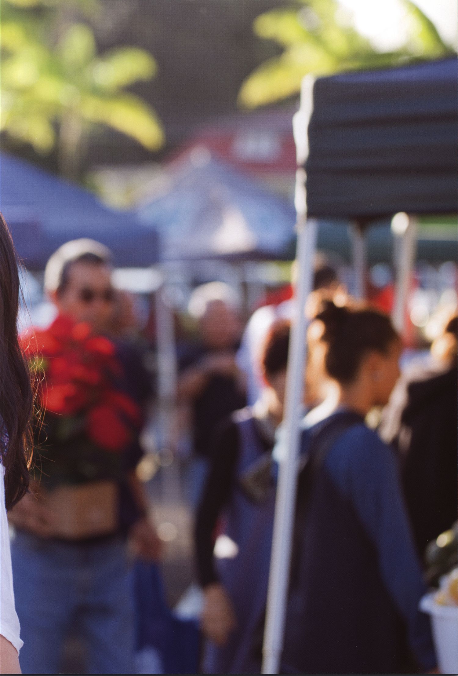 Maimi Yajima 矢島舞美 《PURE EYES》-图24