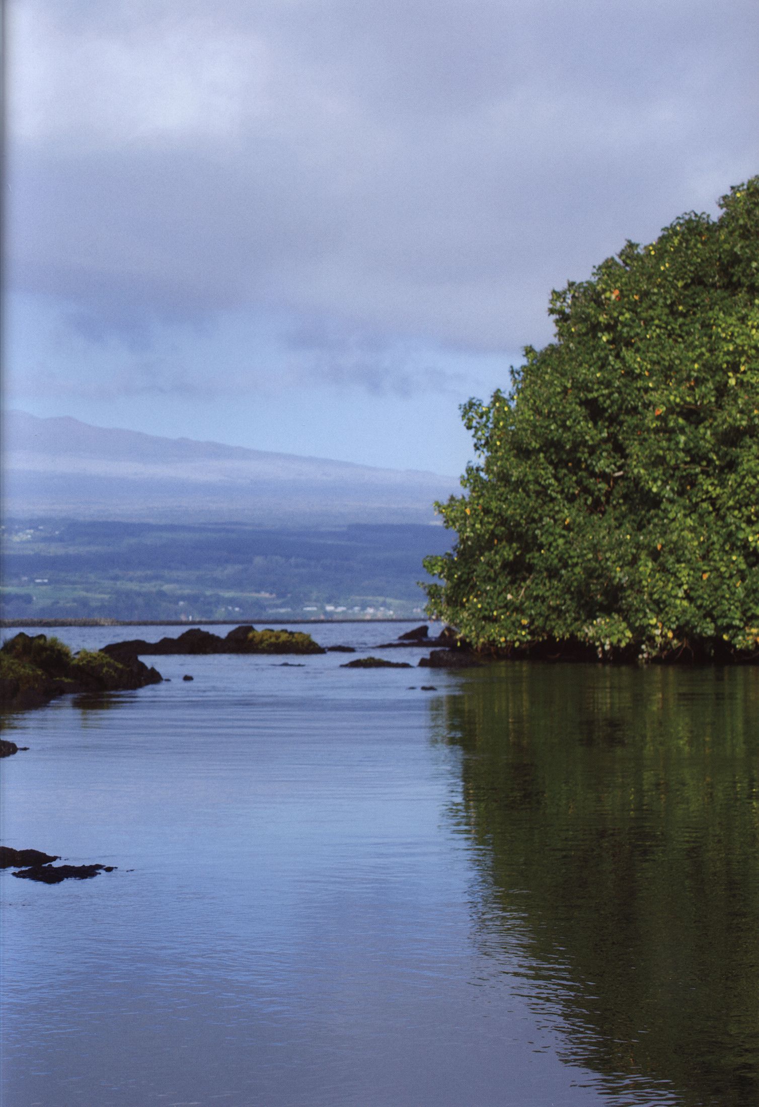 Maimi Yajima 矢島舞美 《PURE EYES》-图6