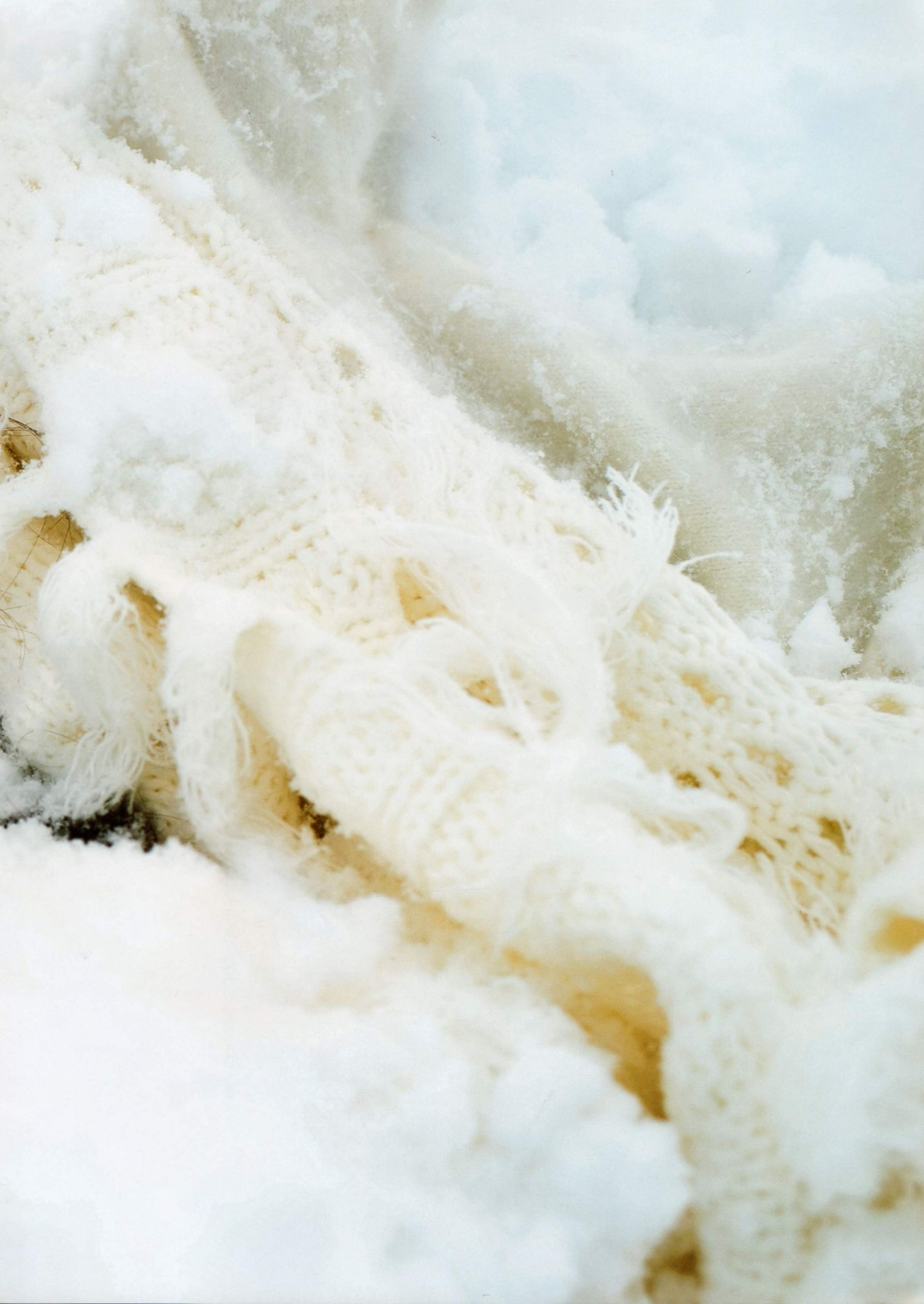 Seika Taketomi 竹富聖花 《A message from OWL》-图104