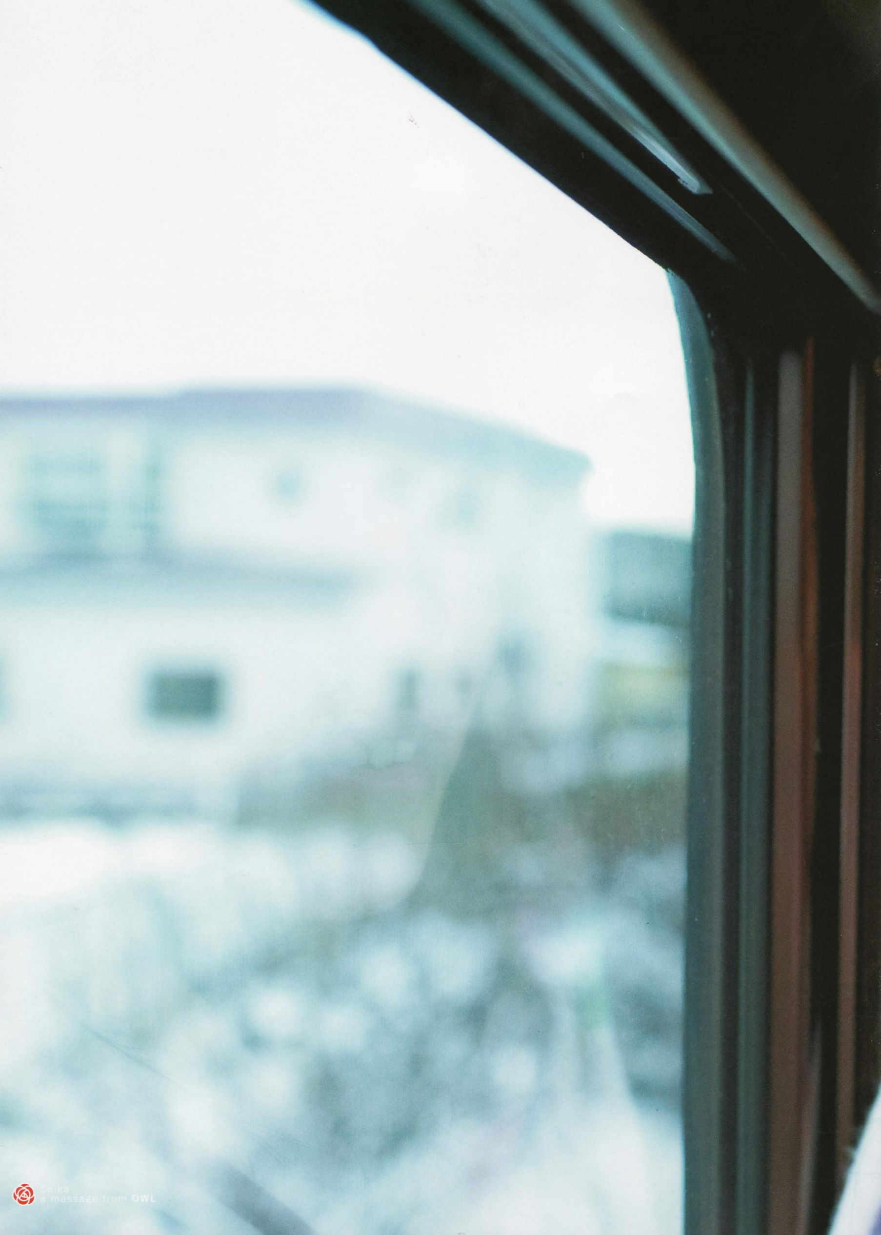 Seika Taketomi 竹富聖花 《A message from OWL》-图22