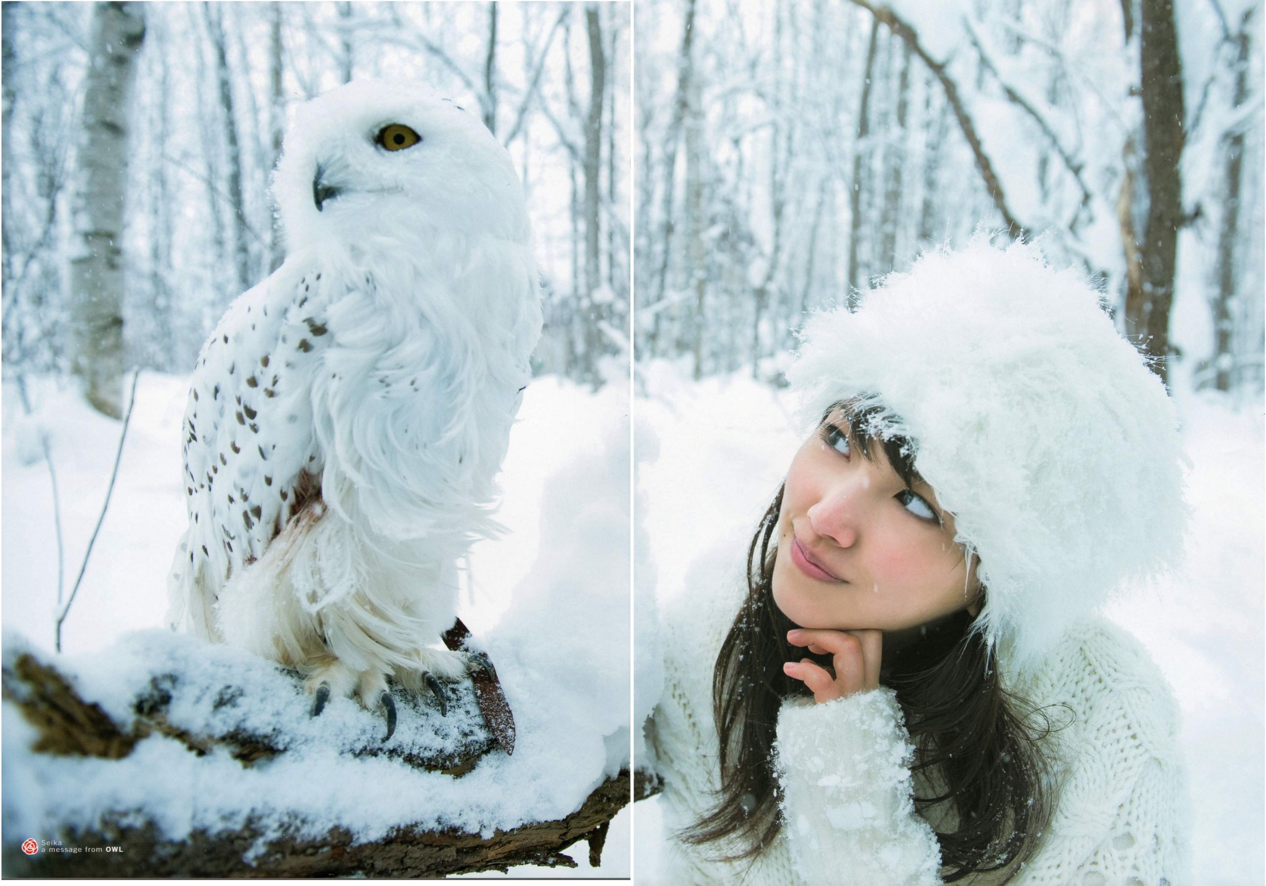 Seika Taketomi 竹富聖花 《A message from OWL》-图94