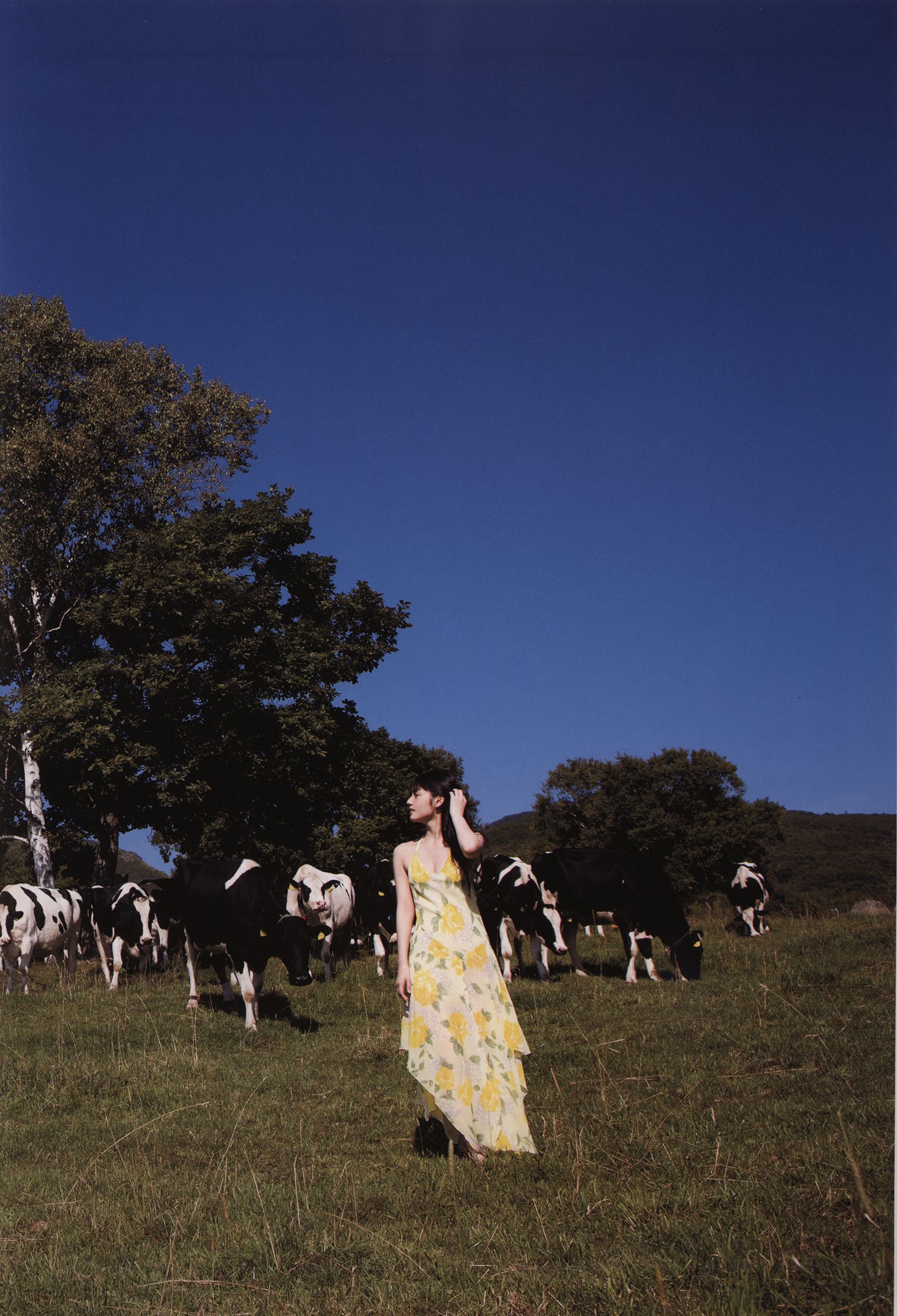 道重さゆみ/道重沙由美《Blue Rose》-图0