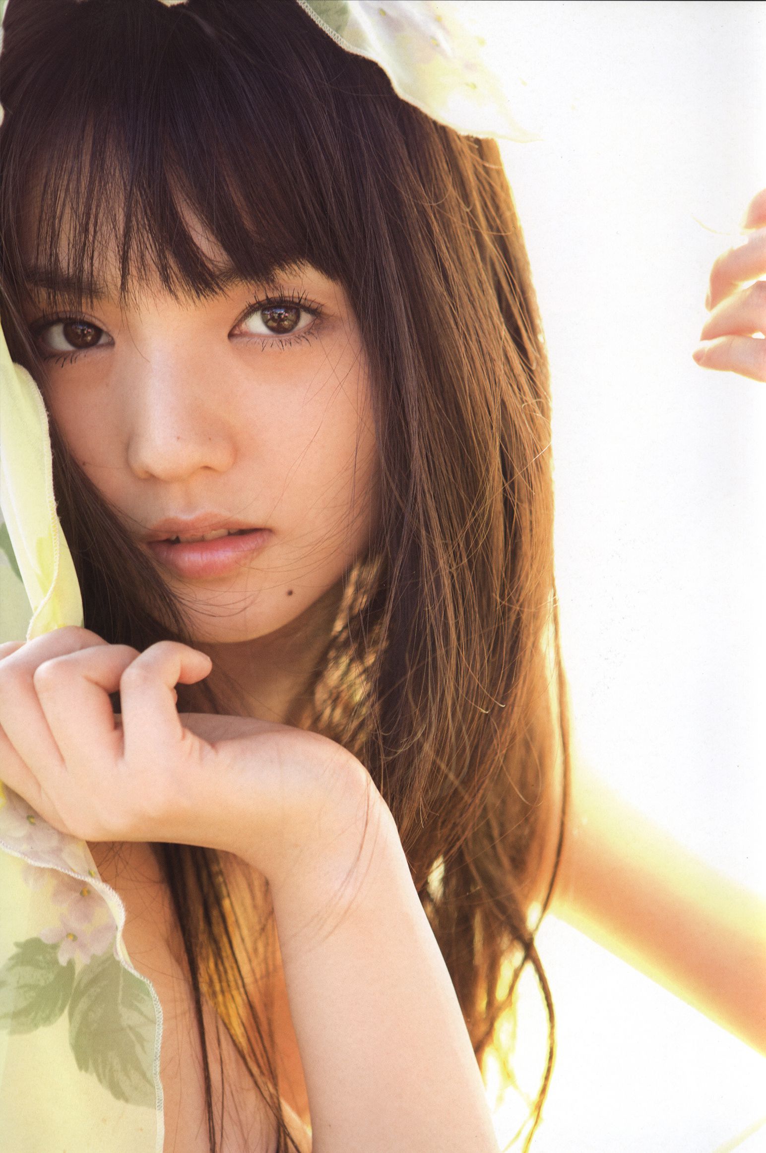 道重さゆみ/道重沙由美《Blue Rose》-图2