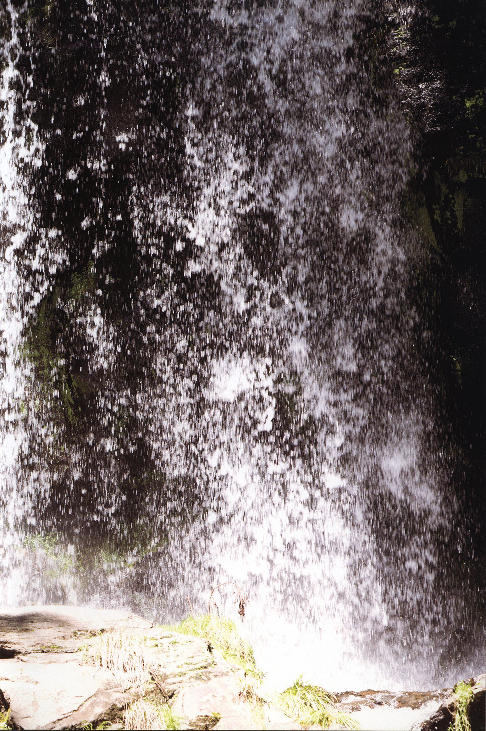 道重さゆみ/道重沙由美《Blue Rose》-图30