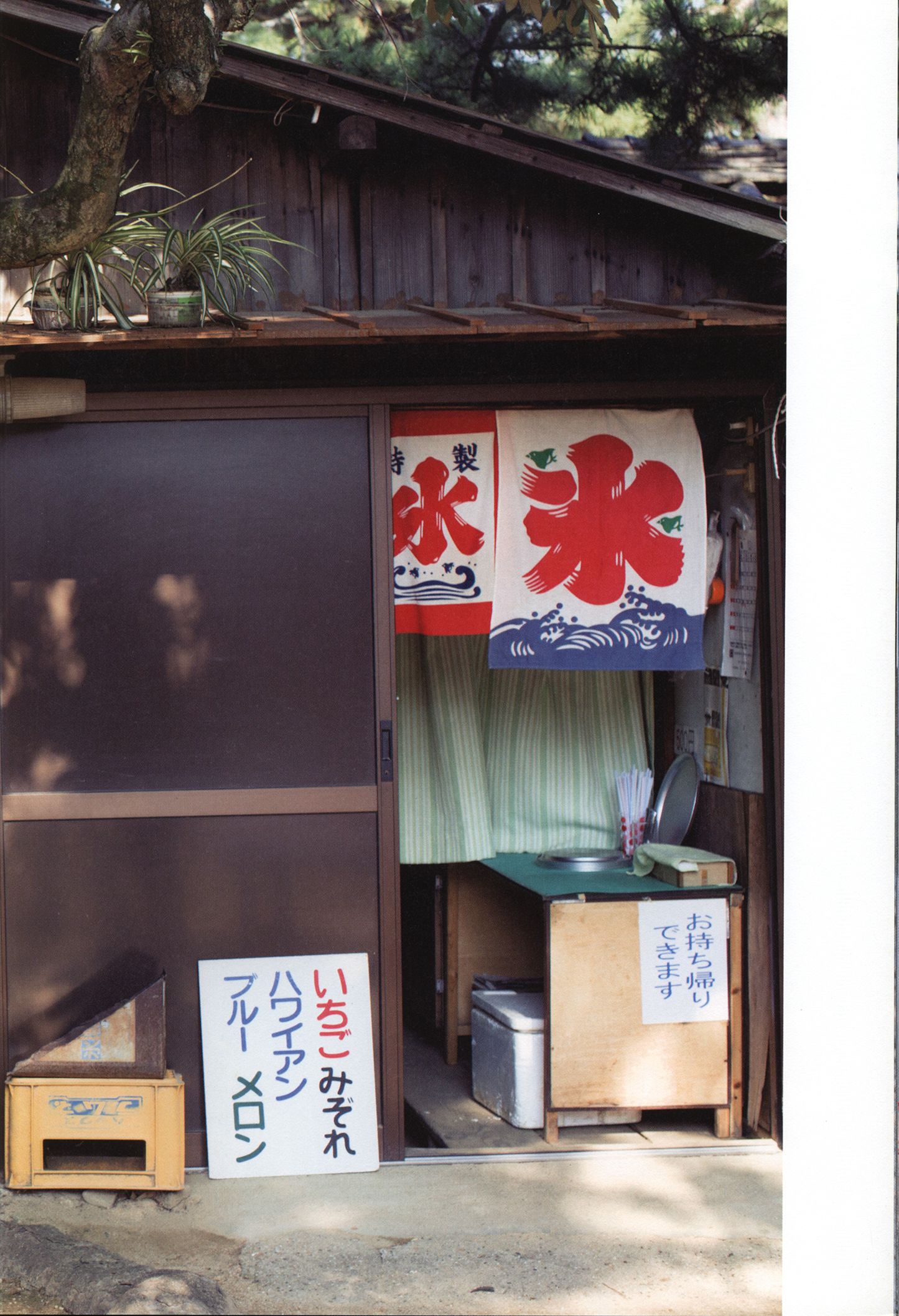 Riho Sayashi 鞘師里保《太陽》-图16