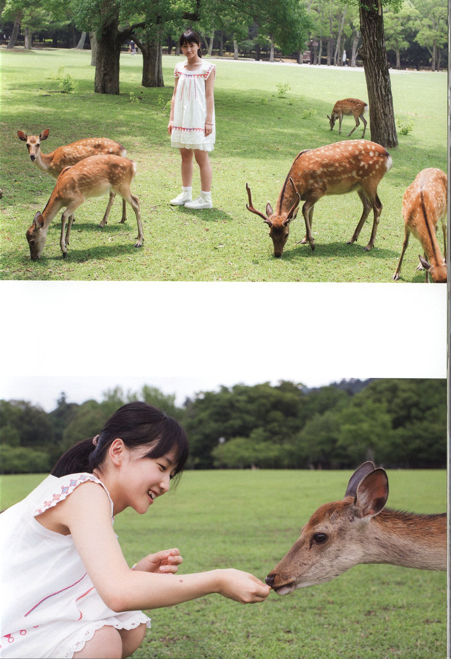 Riho Sayashi 鞘師里保《太陽》-图27