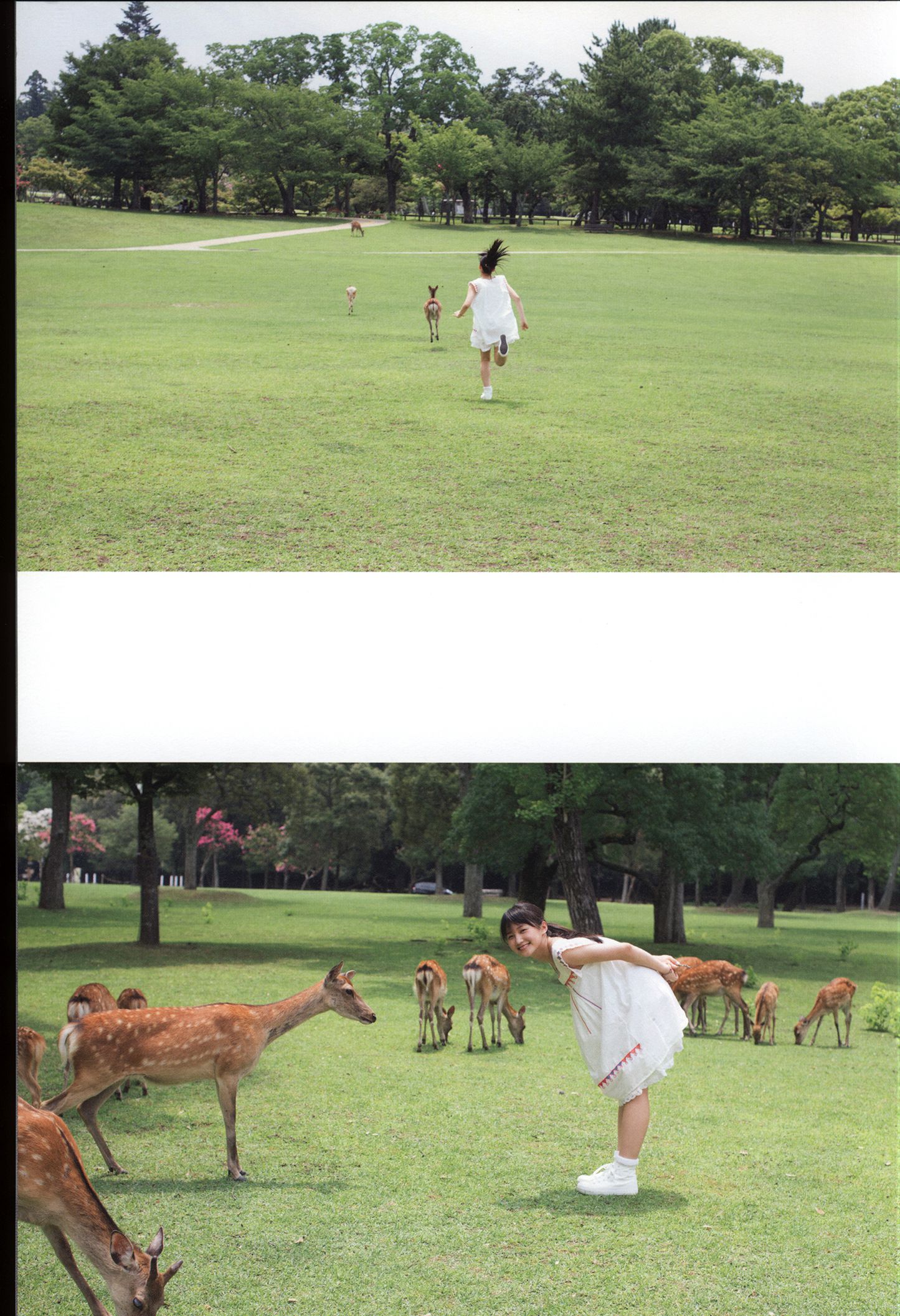 Riho Sayashi 鞘師里保《太陽》-图28