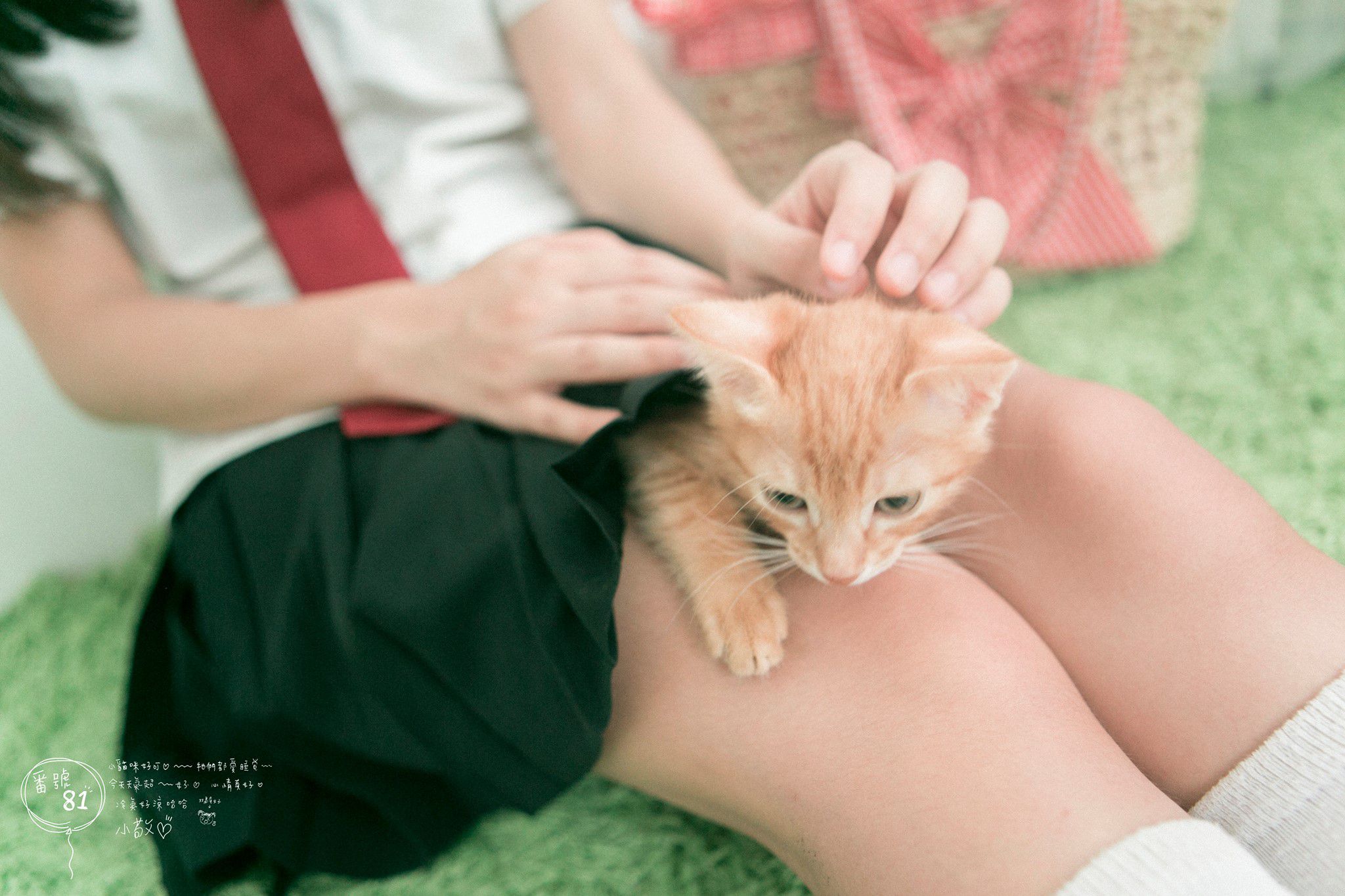 台湾正妹虞成敬Alice《俏皮可爱校服小萝莉》-图54