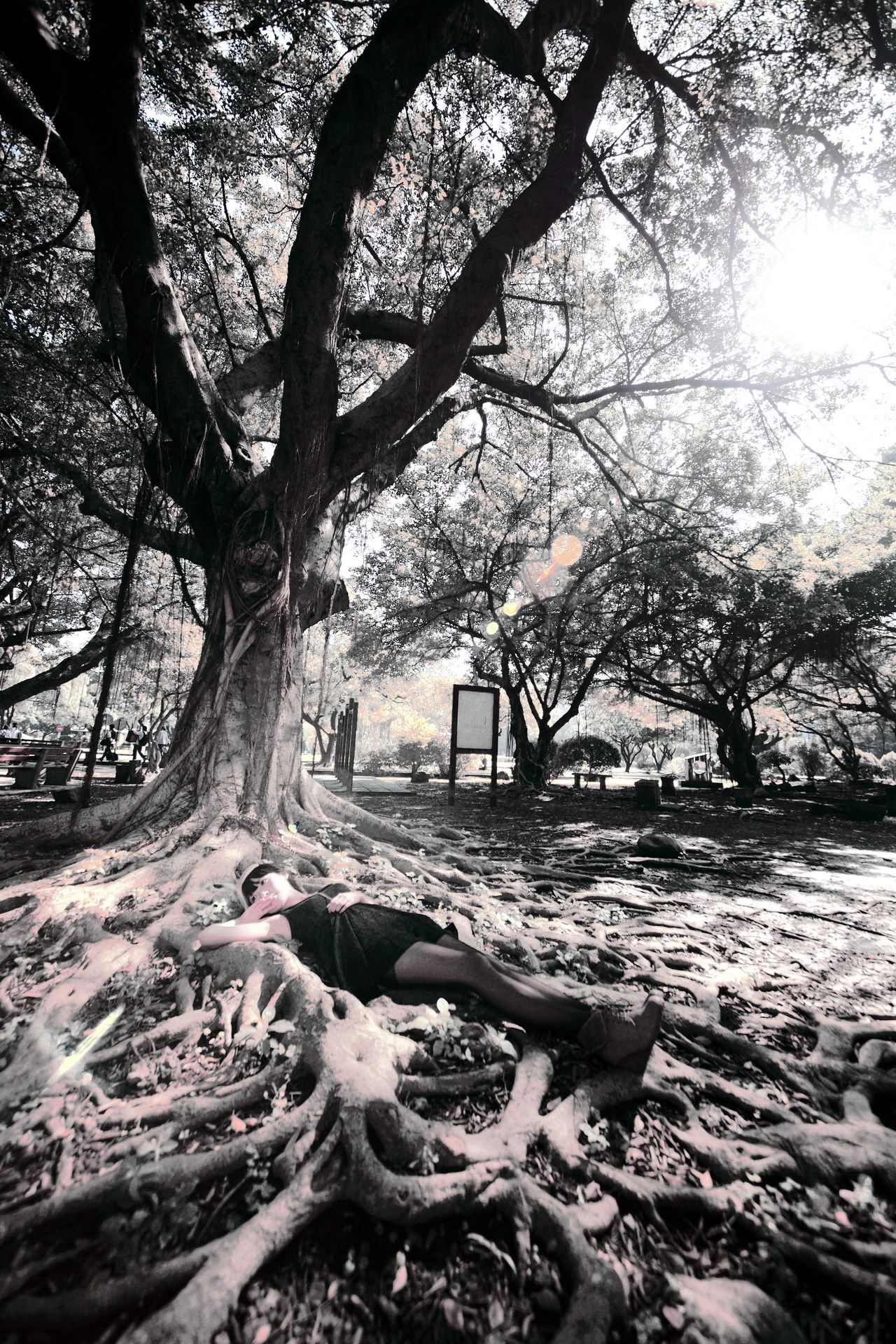 台湾萝莉正妹模特綠豆《小清新唯美外拍》-图48