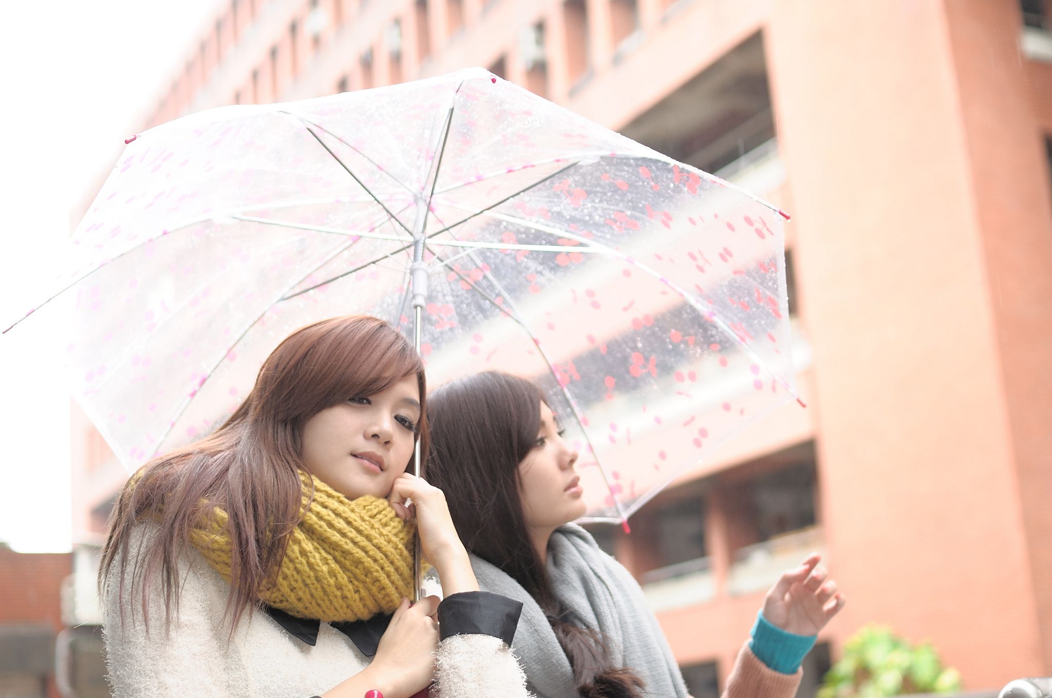 鲔鱼/徐玮吟+蔡小潔《室拍+外拍》写真合集-图38