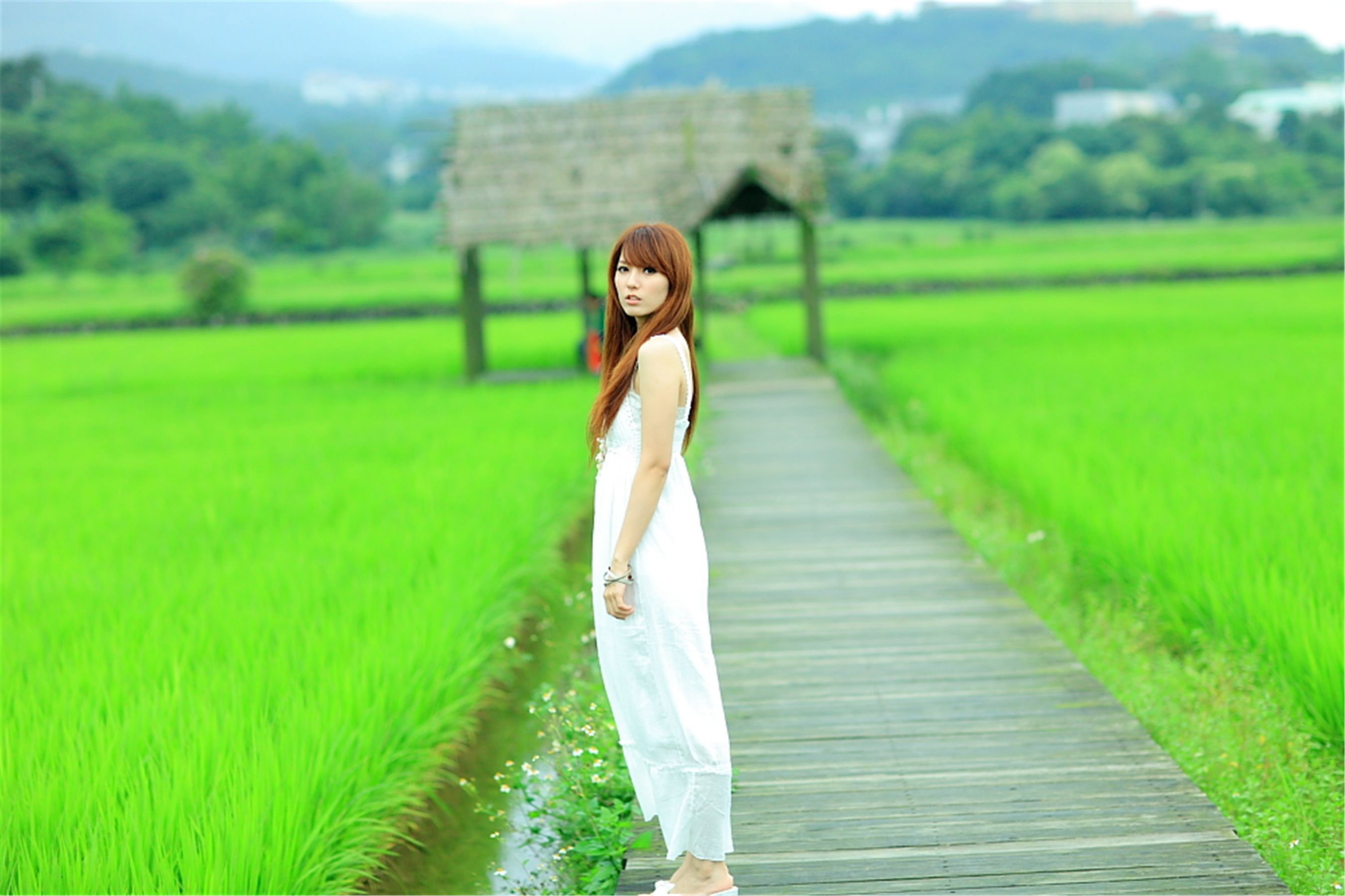 台湾正妹小静《农场初夏田园风光》唯美白裙系列-图115