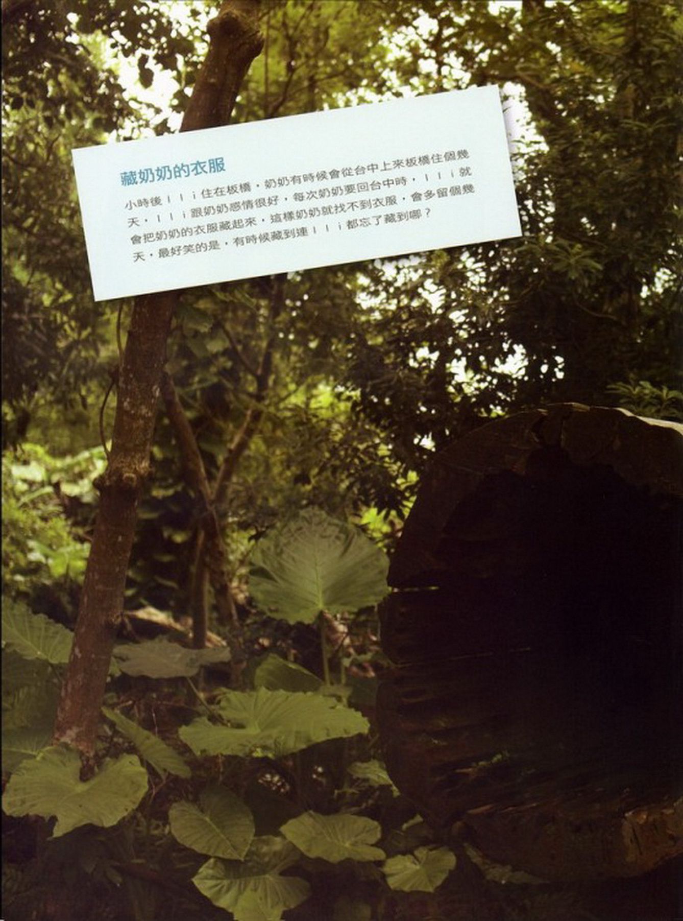 台湾鸡排妹郑佳甄《十八岁的礼物》-图71