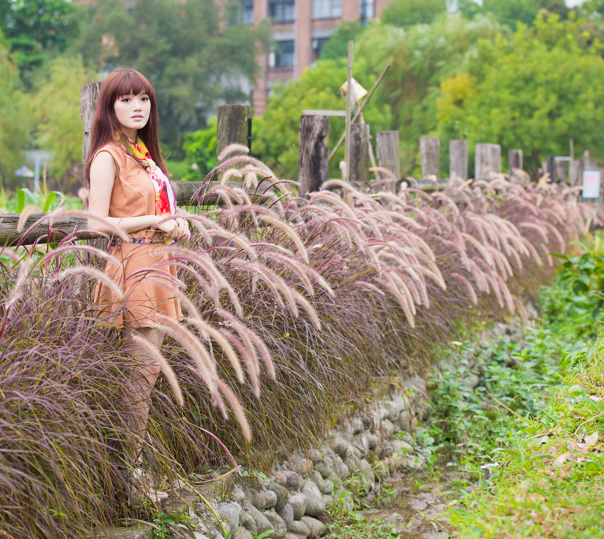 台湾模特林岗怡Didy《小清新3组连衣裙》写真合集-图1