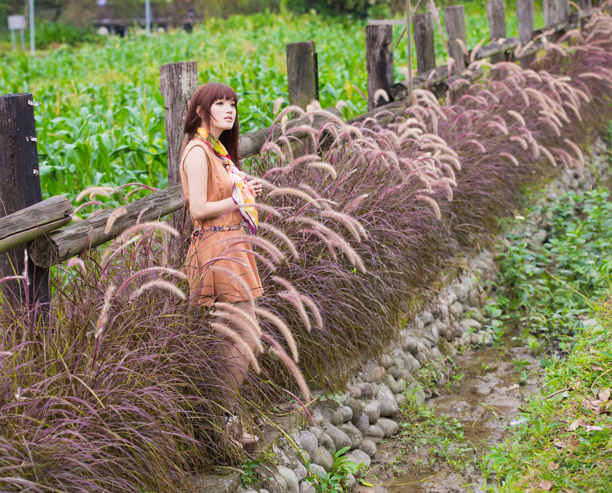 台湾模特林岗怡Didy《小清新3组连衣裙》写真合集-图2