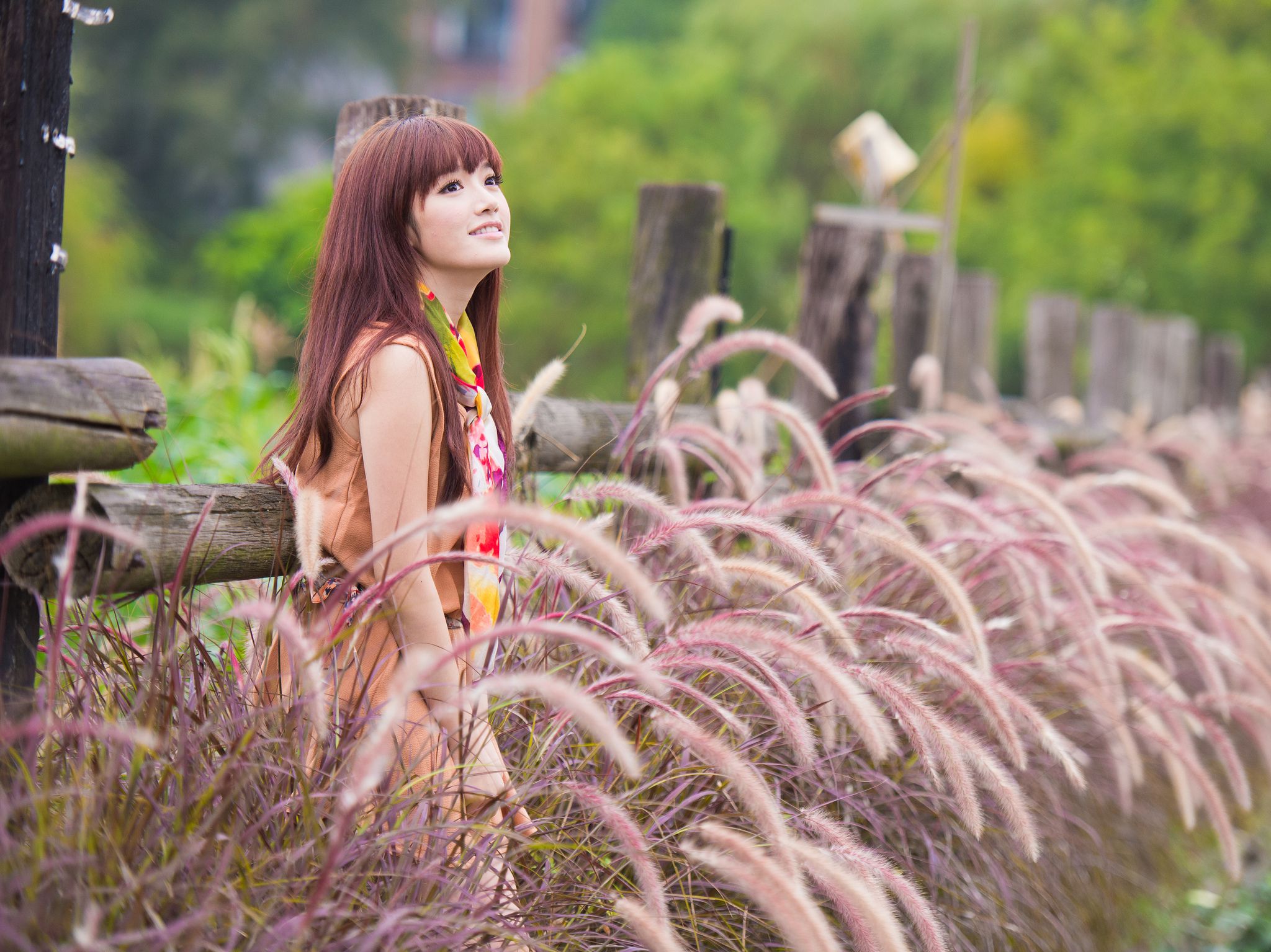 台湾模特林岗怡Didy《小清新3组连衣裙》写真合集-图3