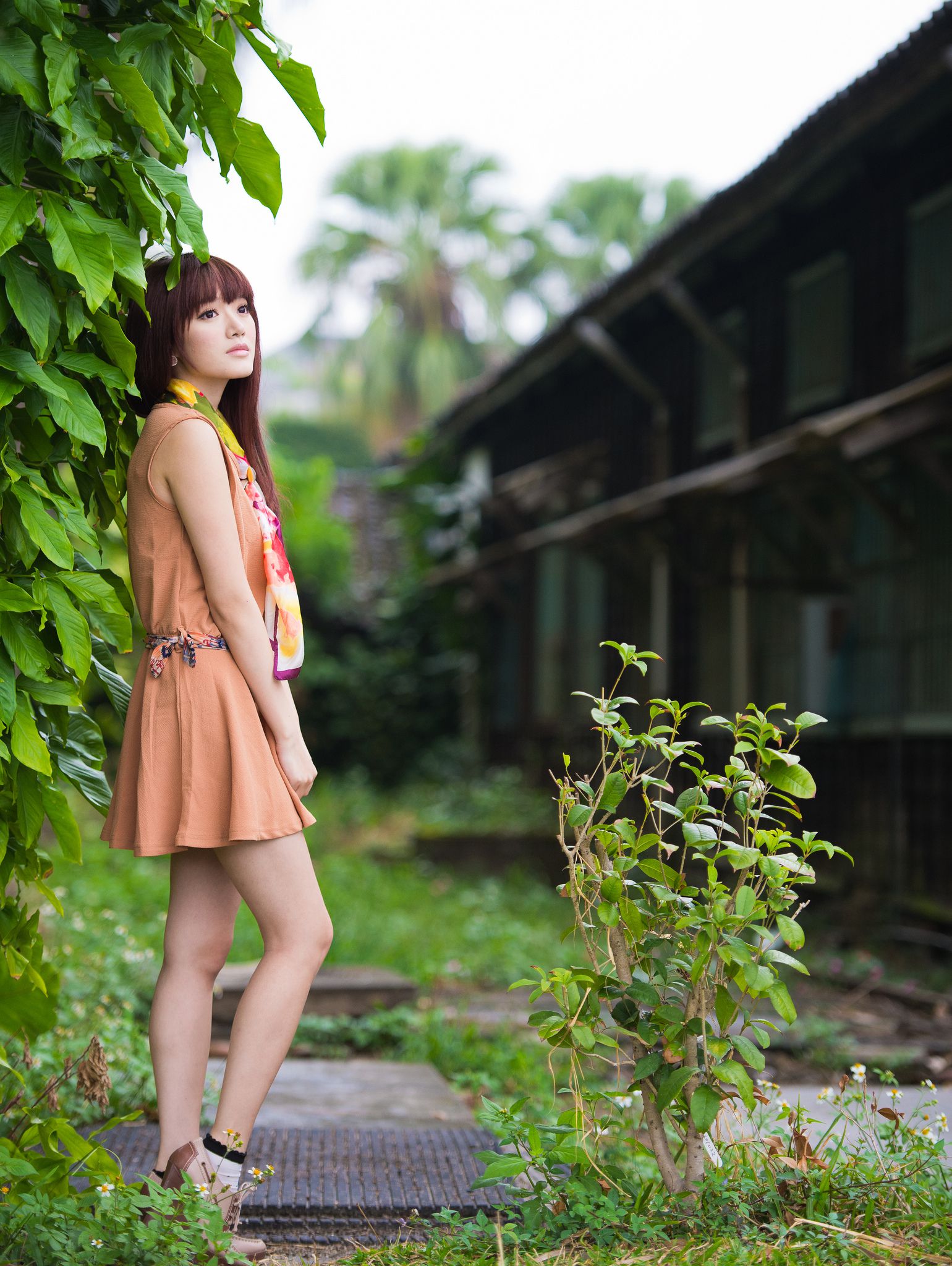 台湾模特林岗怡Didy《小清新3组连衣裙》写真合集-图51