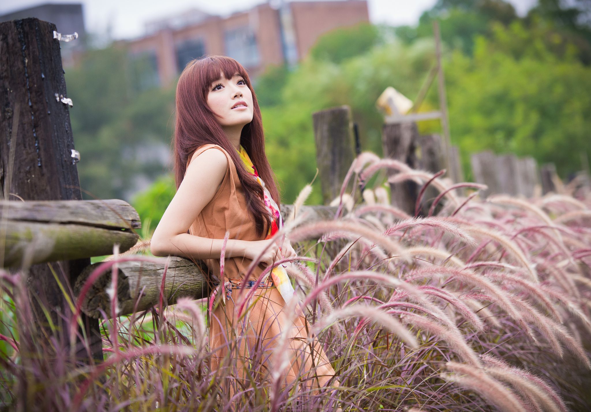 台湾模特林岗怡Didy《小清新3组连衣裙》写真合集-图5