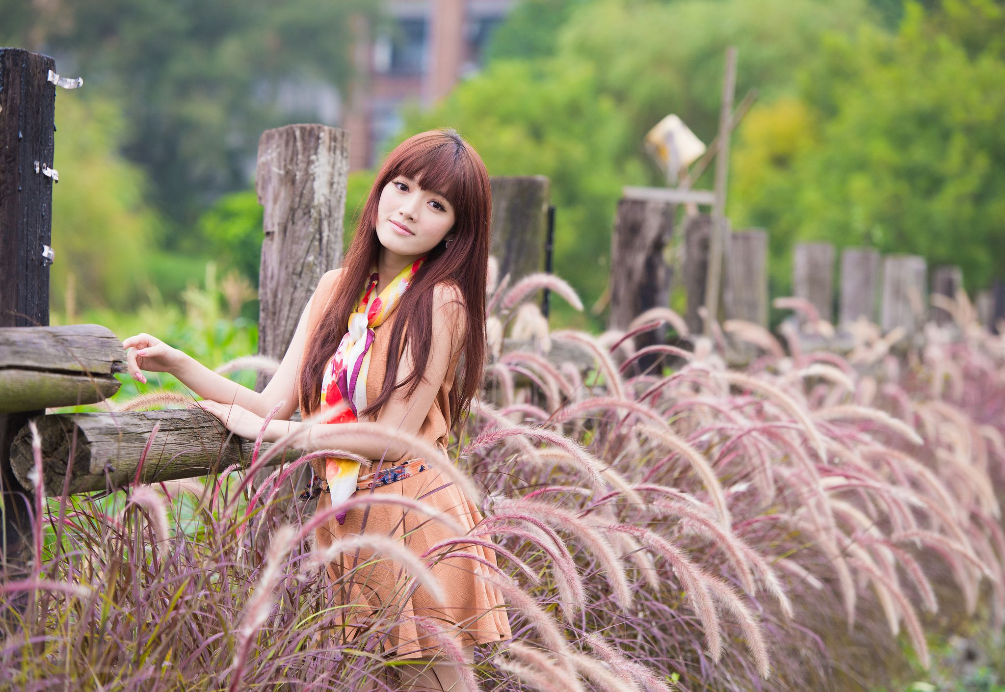 台湾模特林岗怡Didy《小清新3组连衣裙》写真合集-图8