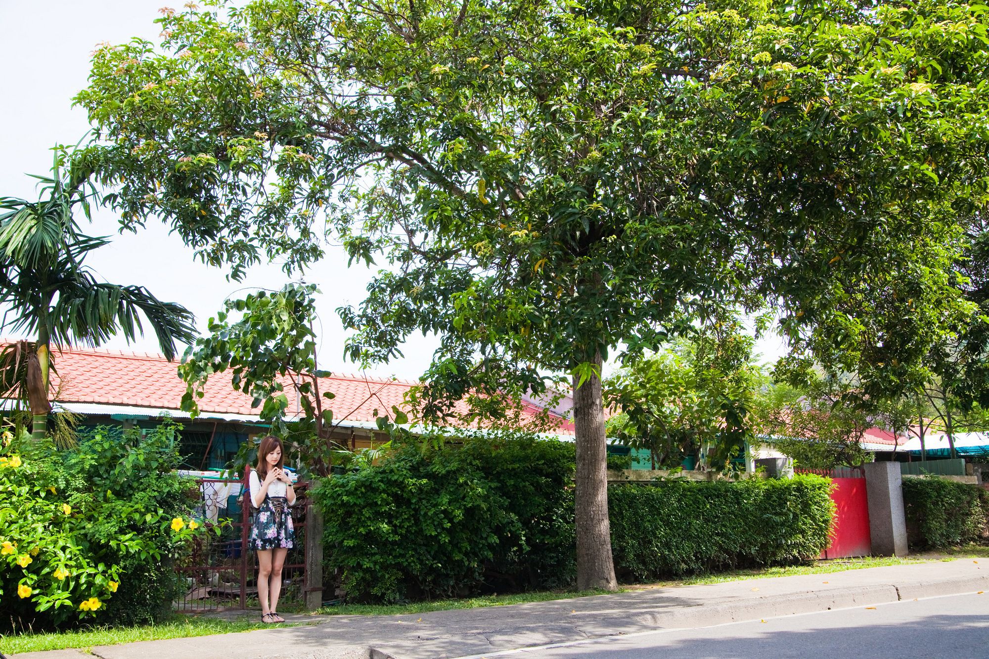 张凯洁/Mikako《中興新村外拍》-图0