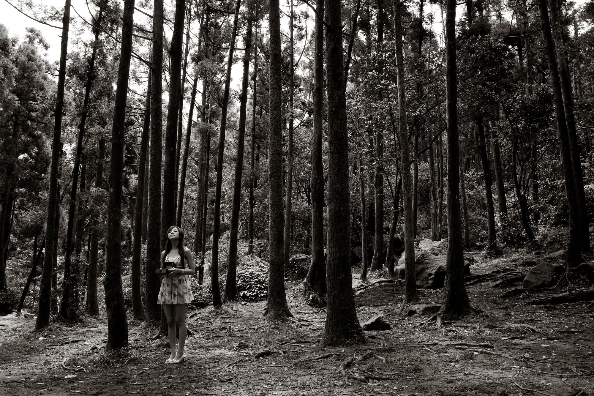 Mikako/张凯洁《白色圓舞曲x黑色執念》陽明山竹子湖外拍-图15