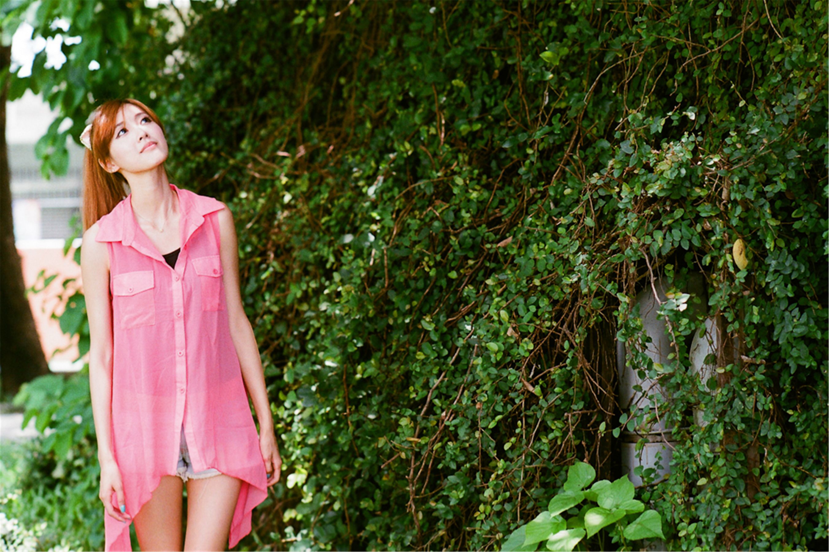 Kila晶晶/廖挺伶《莲池潭外拍》-图6