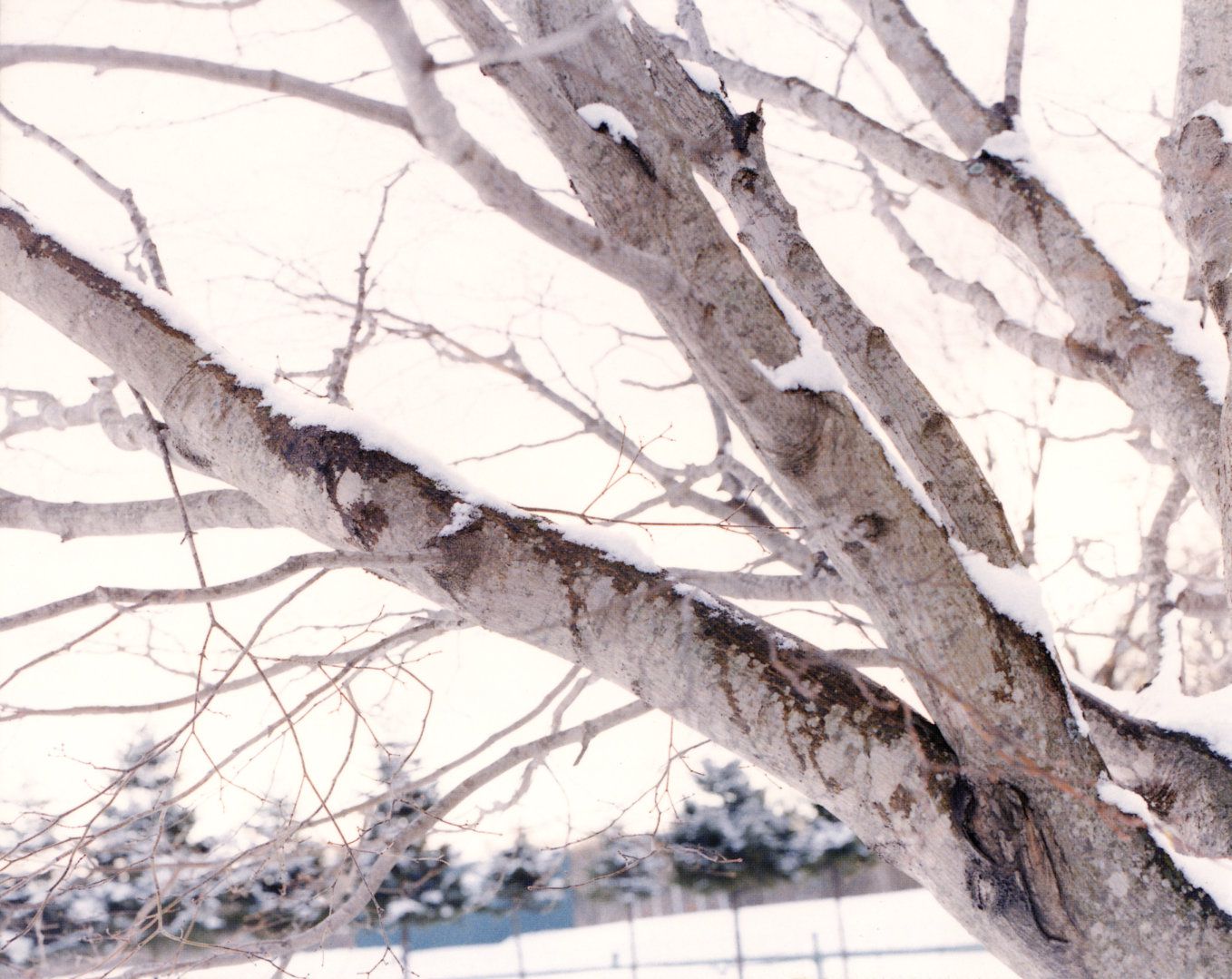 安倍なつみ 《出逢い》-图31