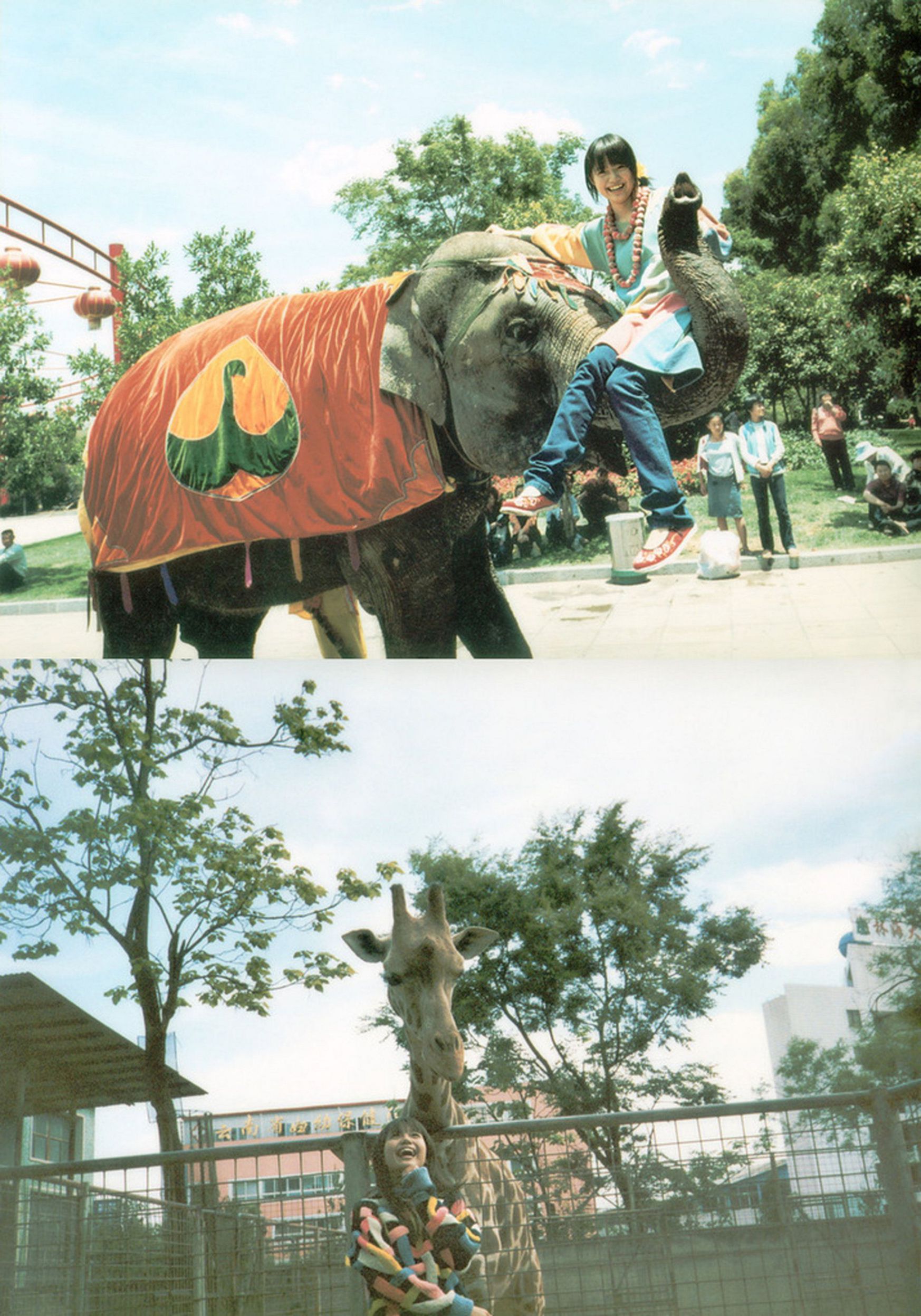 宮崎あおい/宫崎葵 《20TH ANNIVERSARY 「光」》-图11