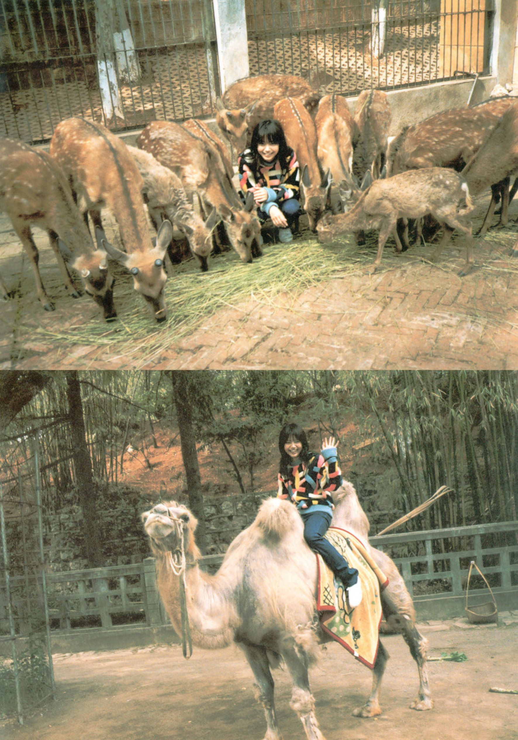 宮崎あおい/宫崎葵 《20TH ANNIVERSARY 「光」》-图12