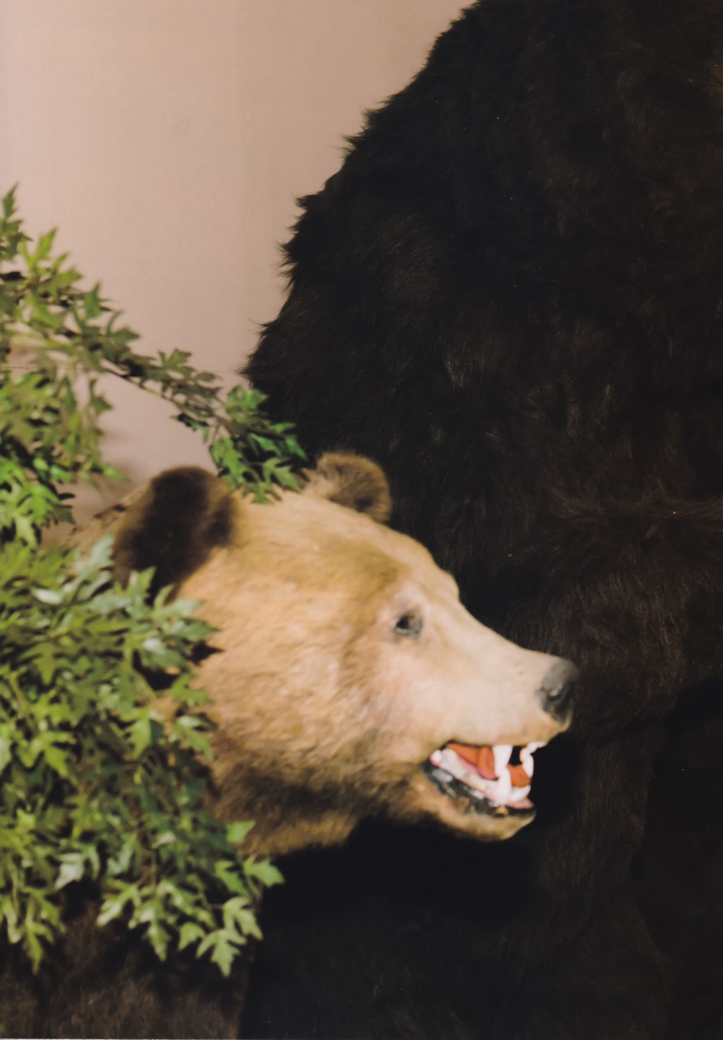 Asuka Saito 齋藤飛鳥 《潮騷》-图41