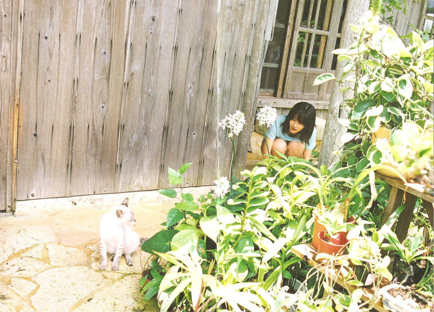 前田敦子 《Memorial》-图41