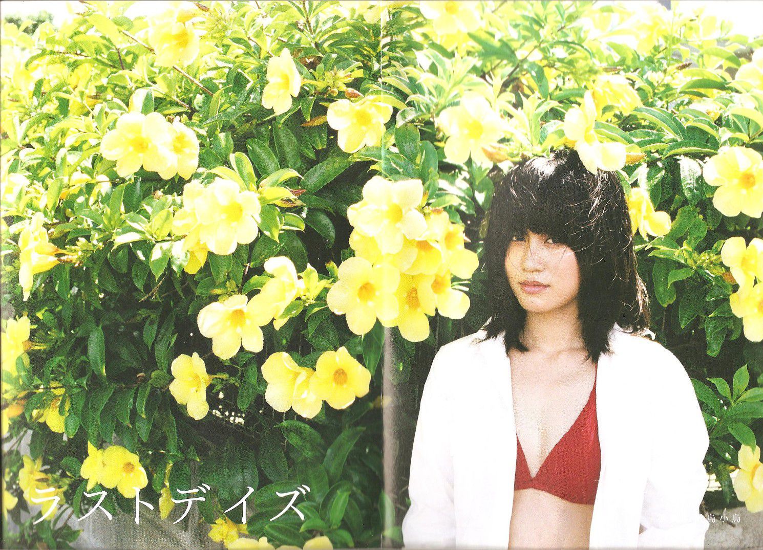 前田敦子 《Memorial》-图73