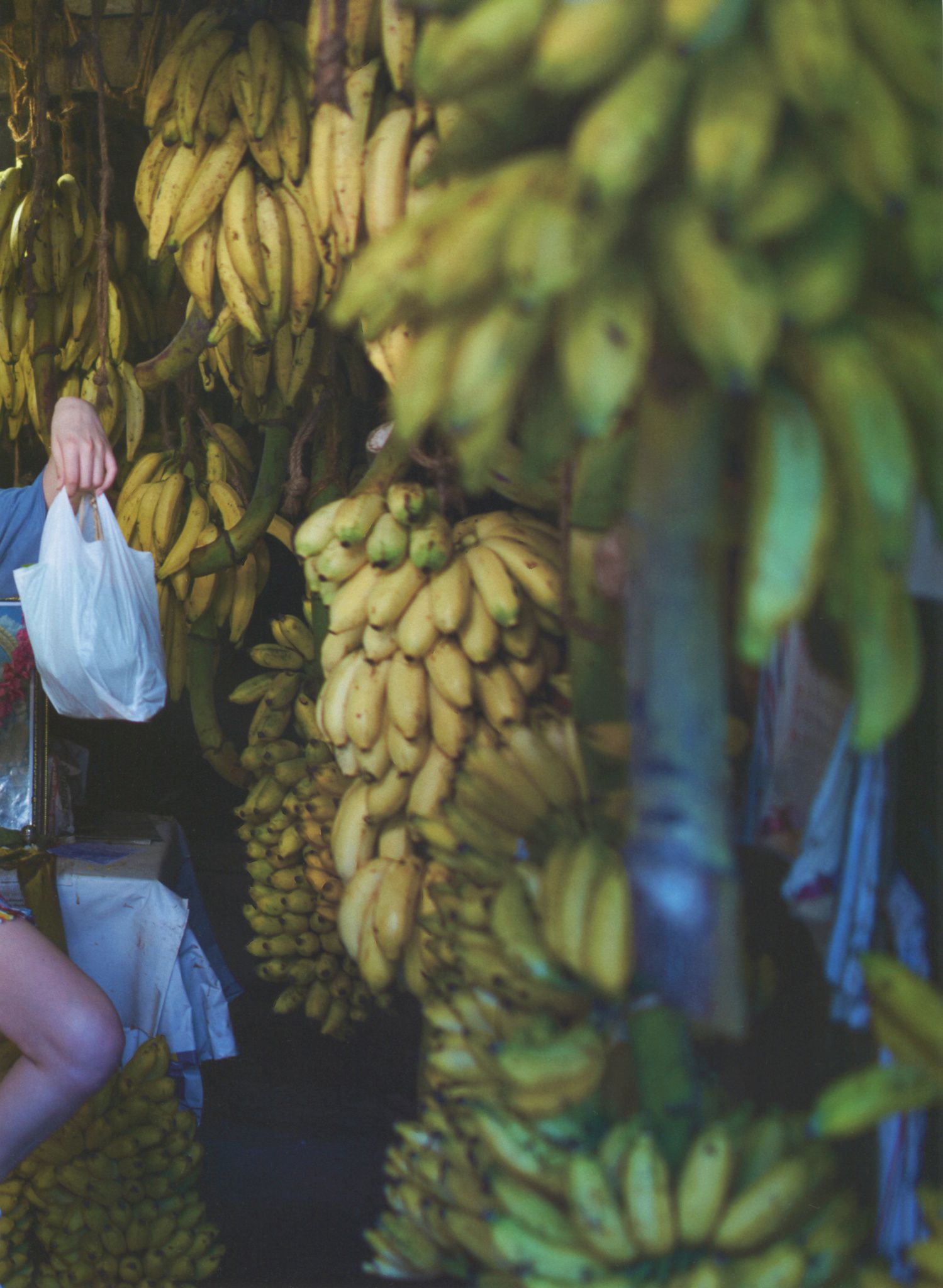 Ayaka Miyoshi 三吉彩花 《わたし》-图119