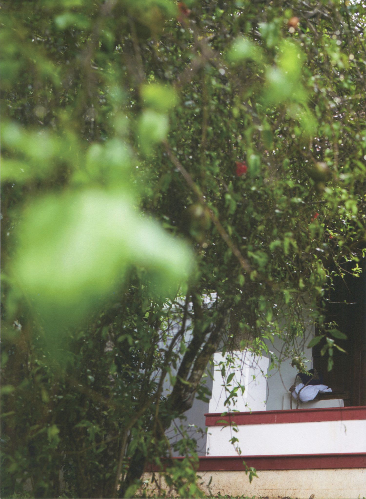 Ayaka Miyoshi 三吉彩花 《わたし》-图12