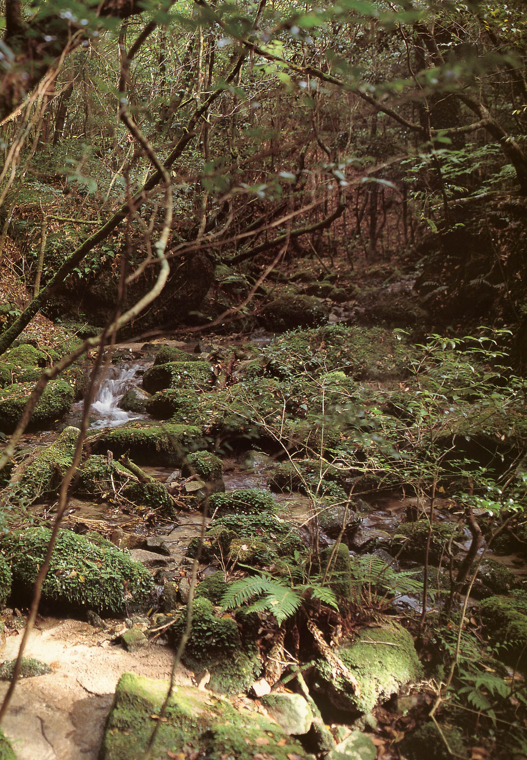 戸田恵梨香 《SANWA MOOK 7 生まれた泉》-图23