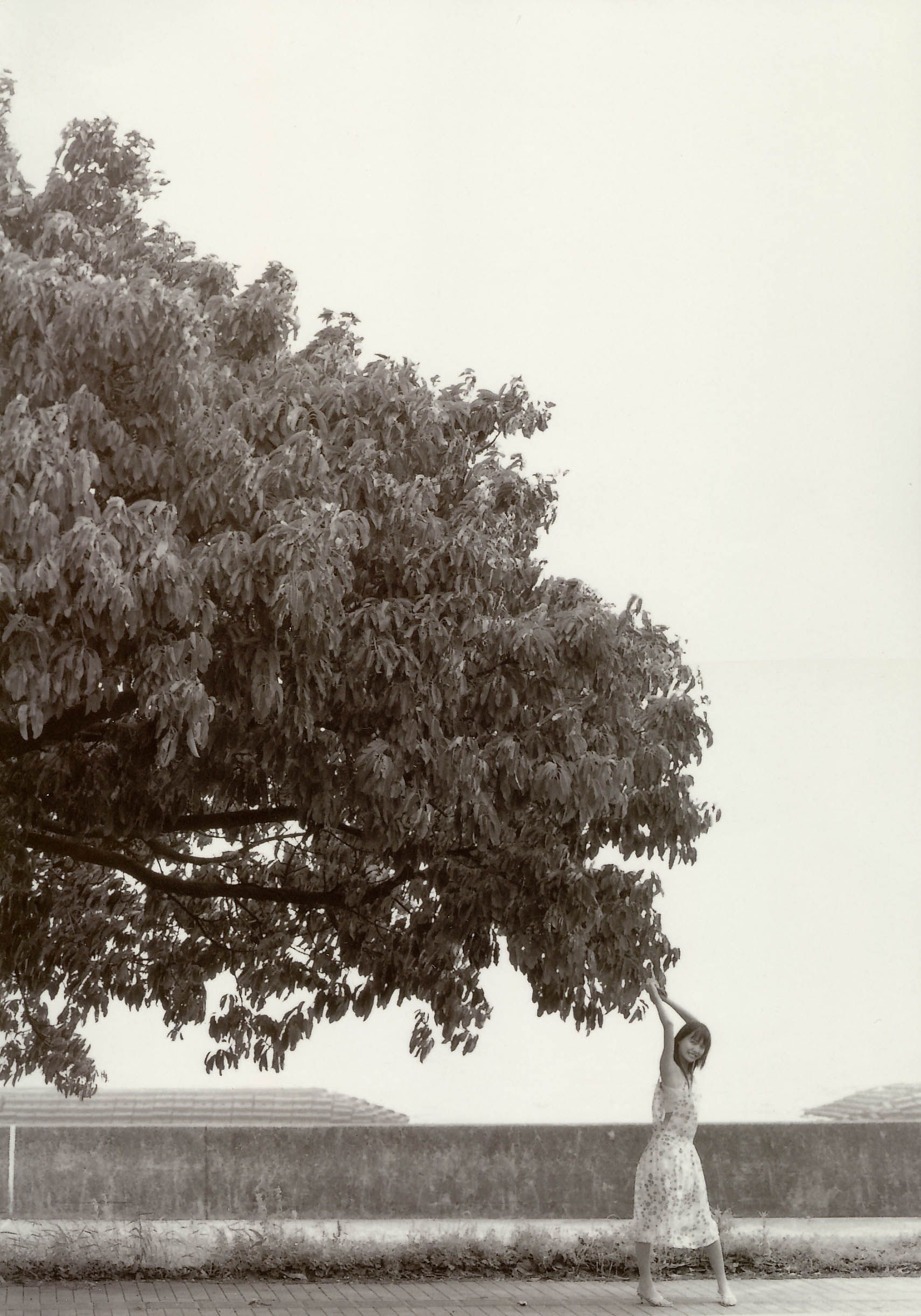 戸田恵梨香 《SANWA MOOK 7 生まれた泉》-图5