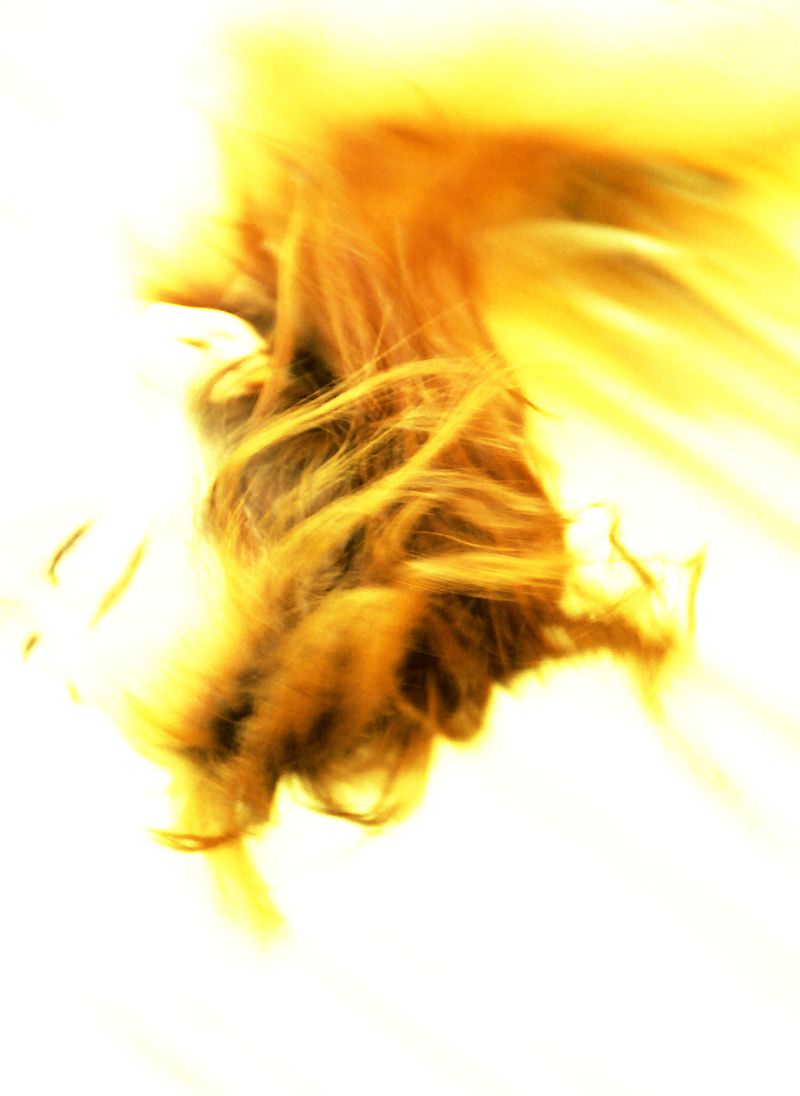 佐藤江梨子《おひっこし》-图108