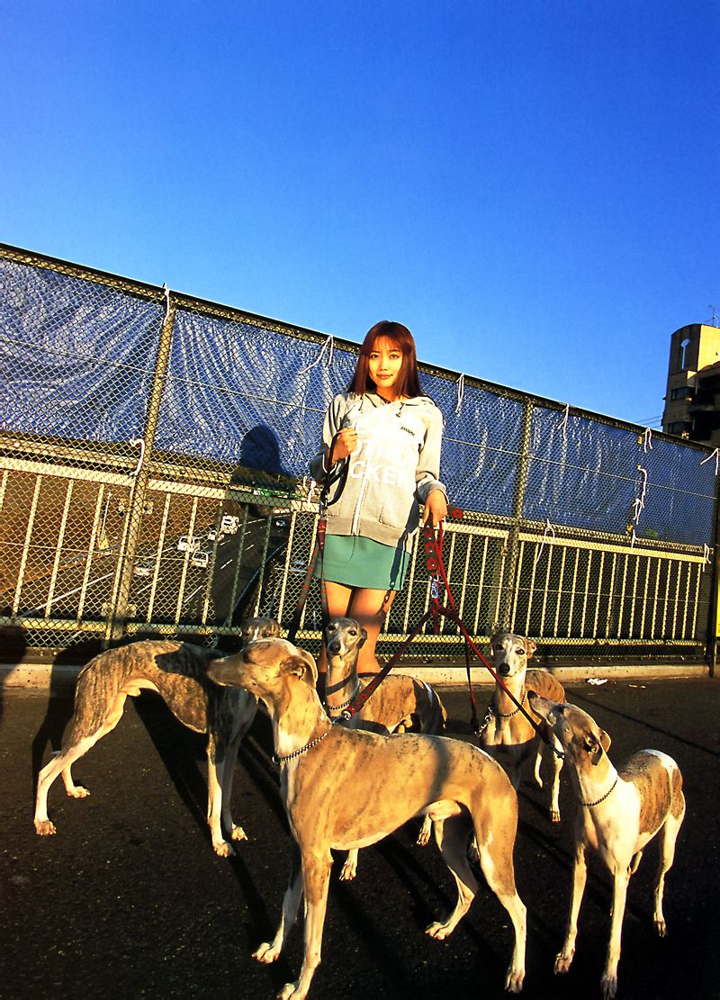 佐藤江梨子《おひっこし》-图16