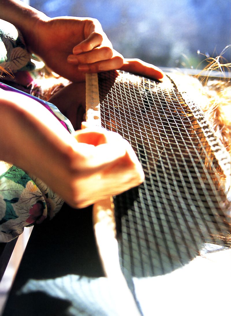 佐藤江梨子《おひっこし》-图22