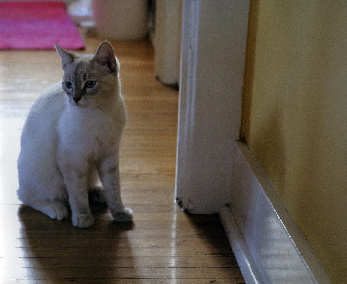 井上真央《Mao-Inoue-2007》-图106