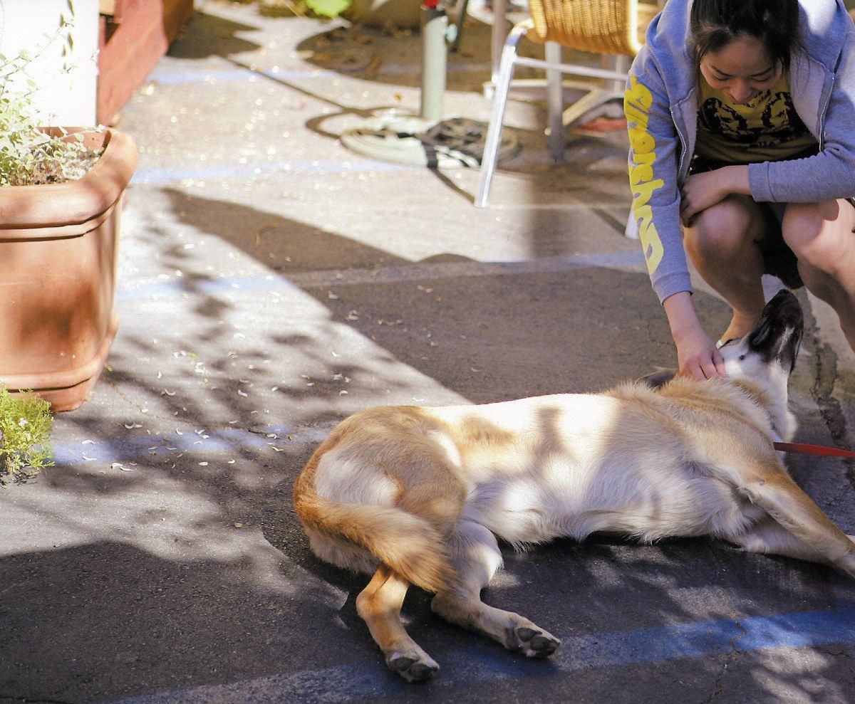 井上真央《Mao-Inoue-2007》-图126