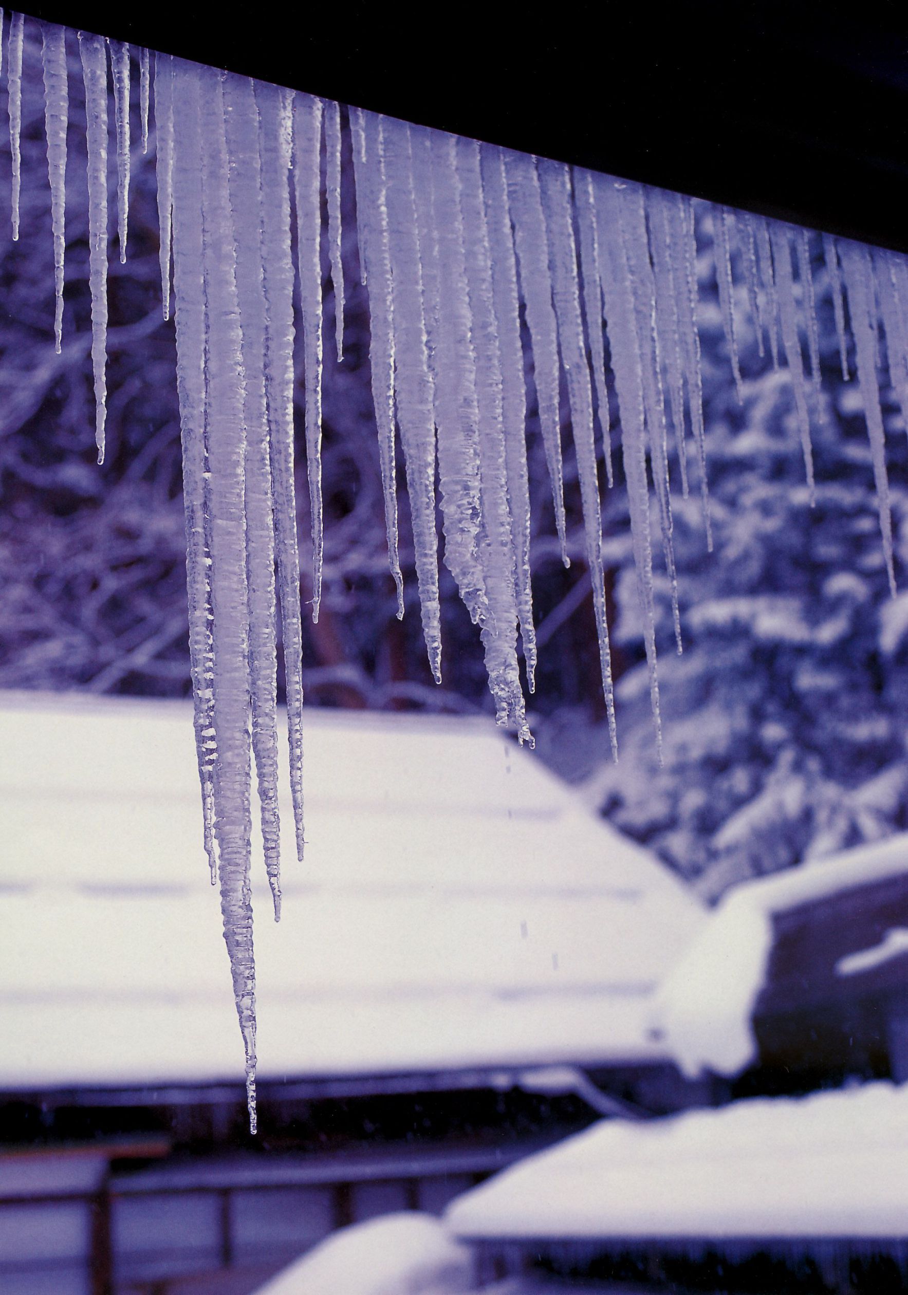 Juri Ueno 上野树里《JURI First》-图79