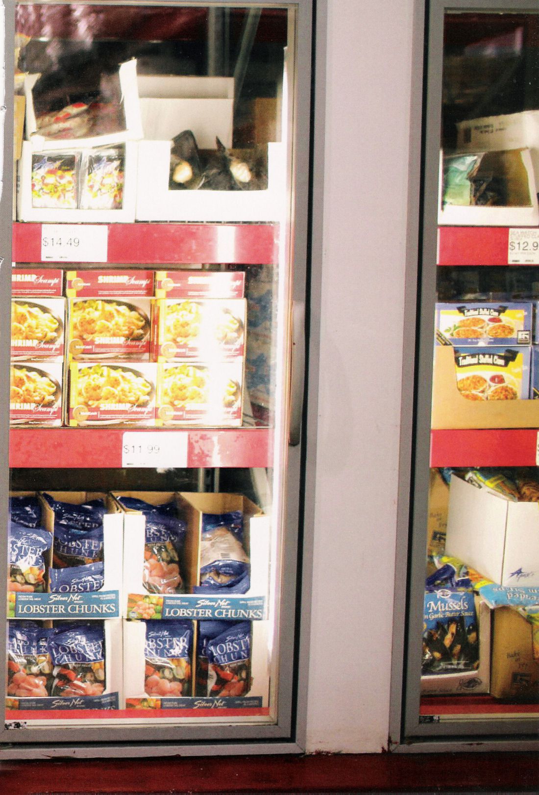 亀井絵里 《ERI》-图128